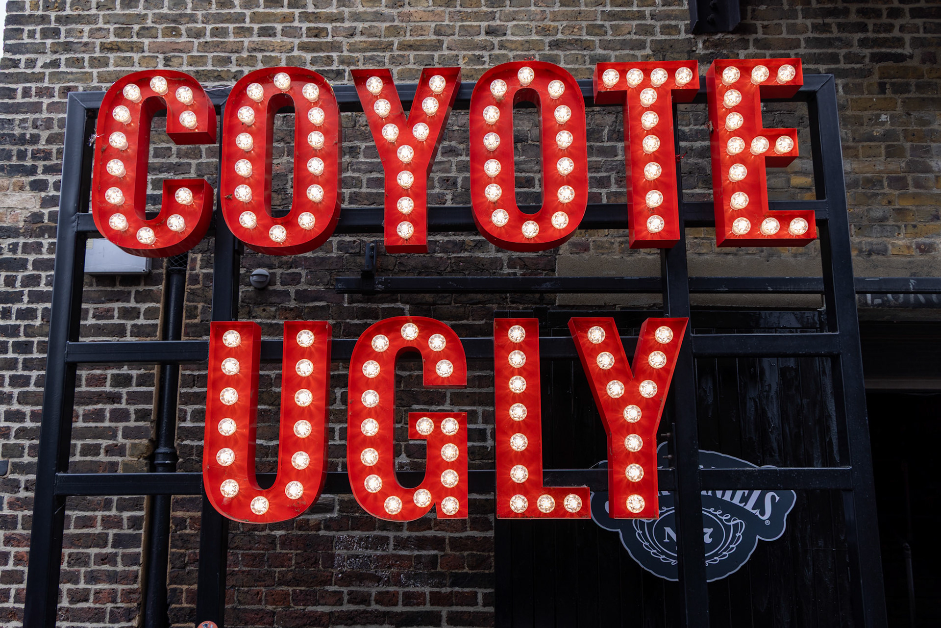 Coyote Ugly