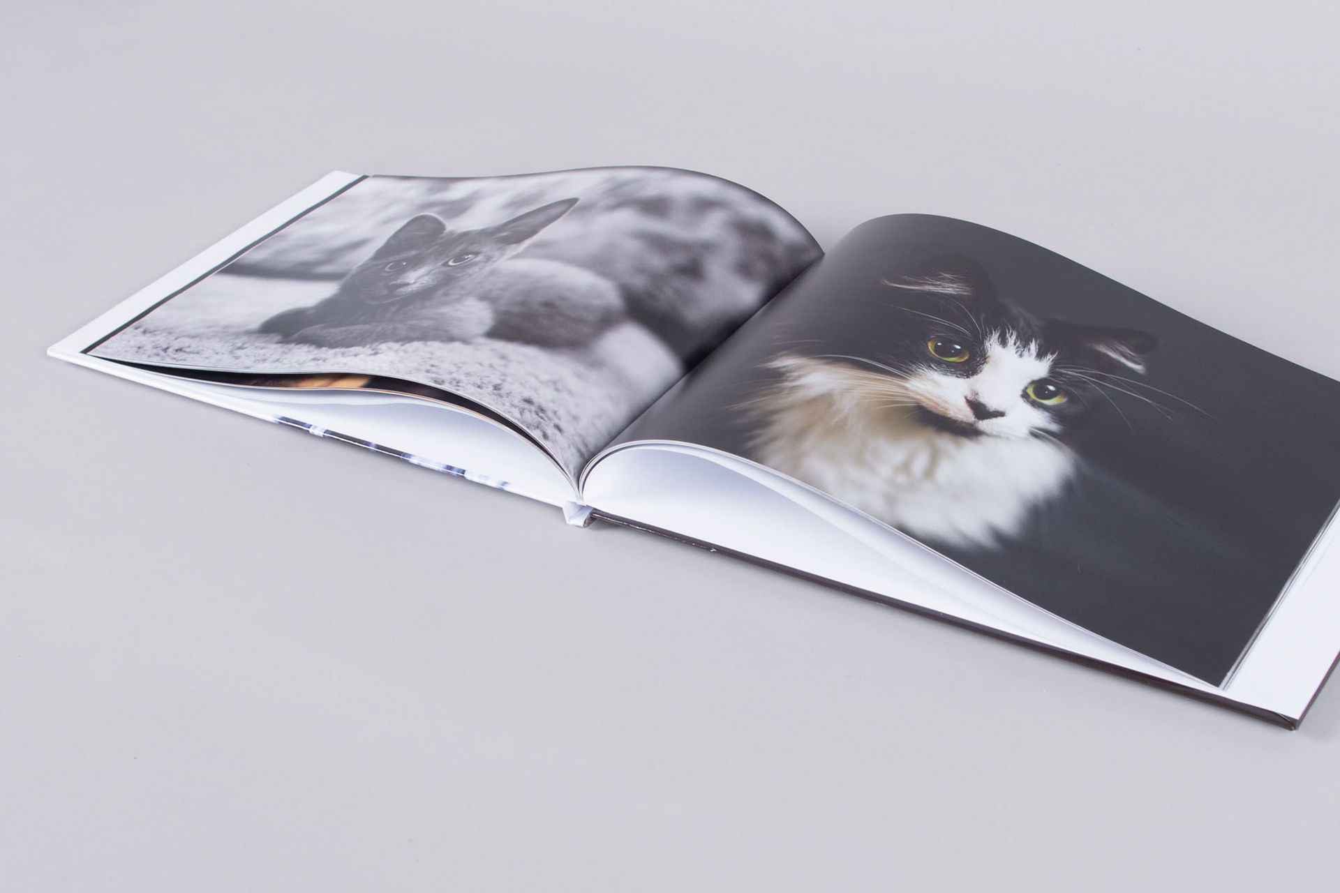Fotoboek (niet vlakliggend)