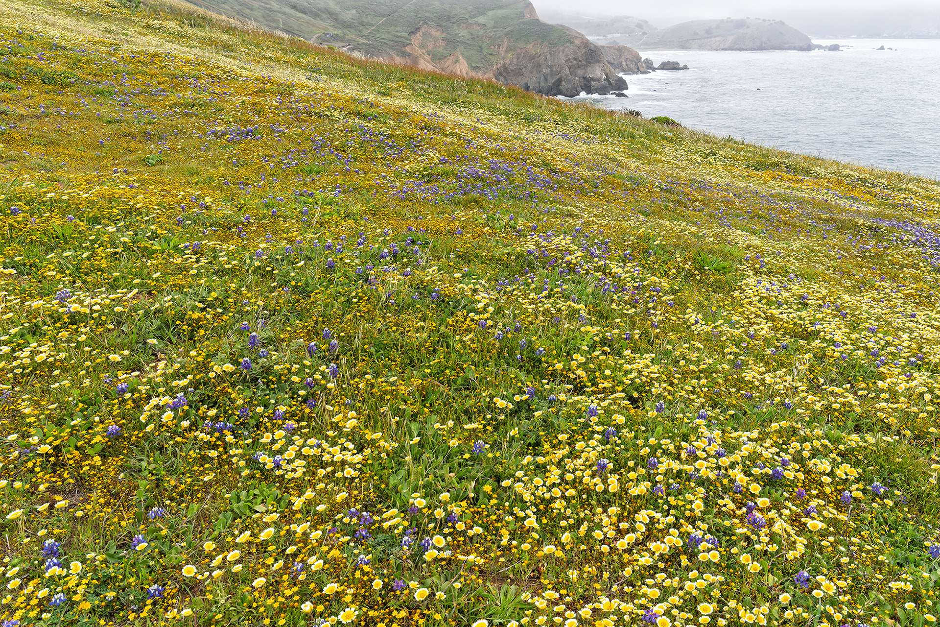 Mori Point, Pacifica