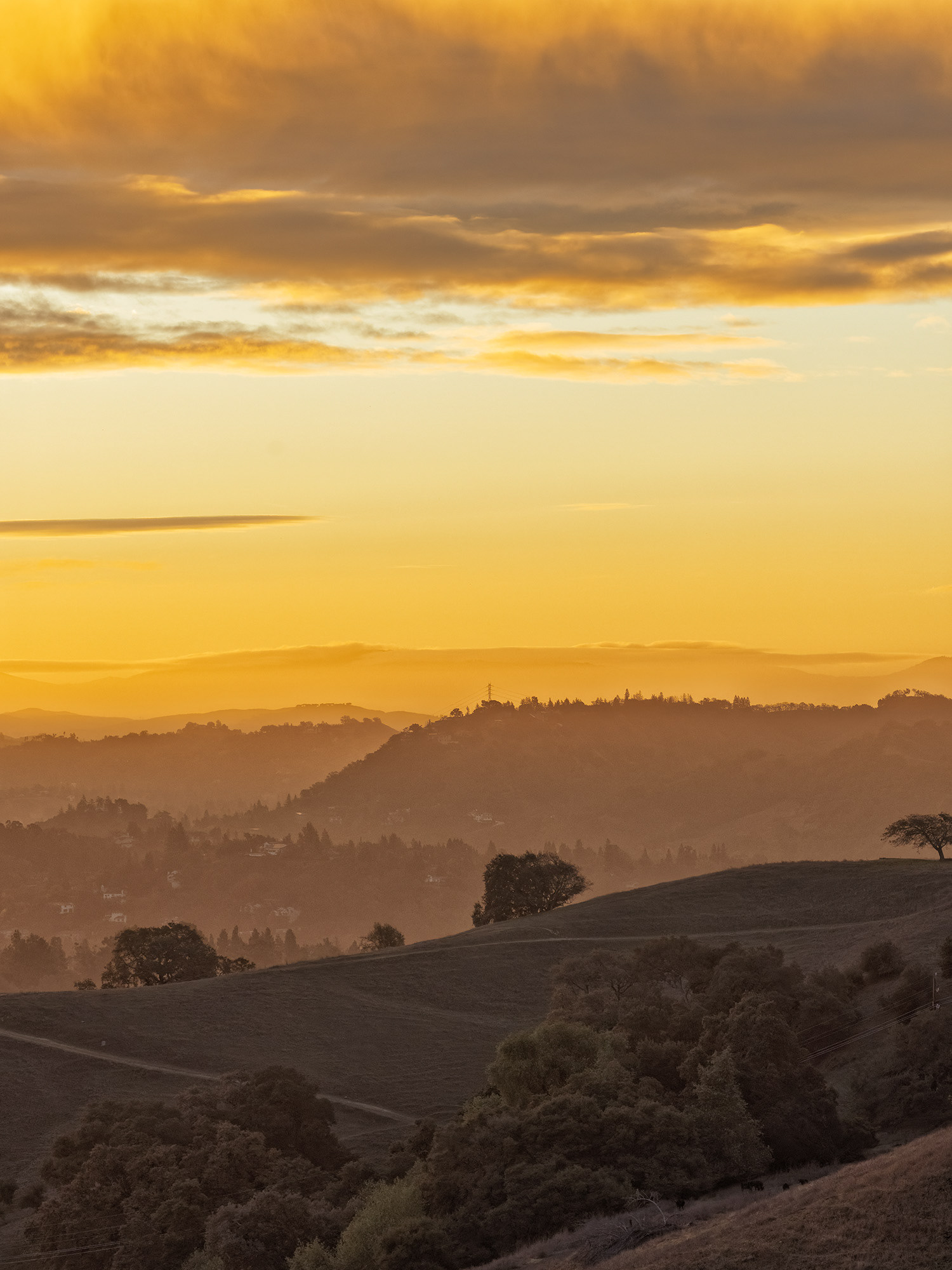 Layers of Hills, Lafayette, Dawn
