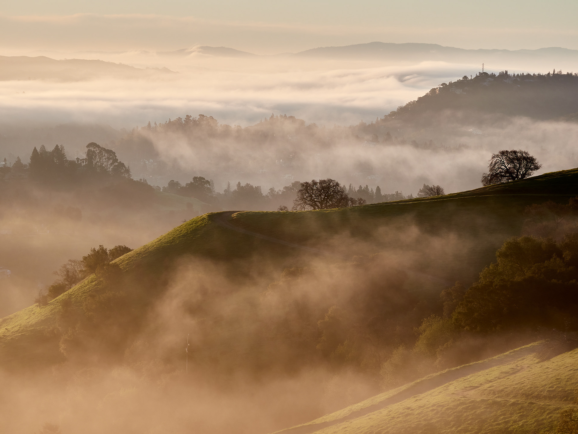 Layers of Hills and Fog, Lafayette