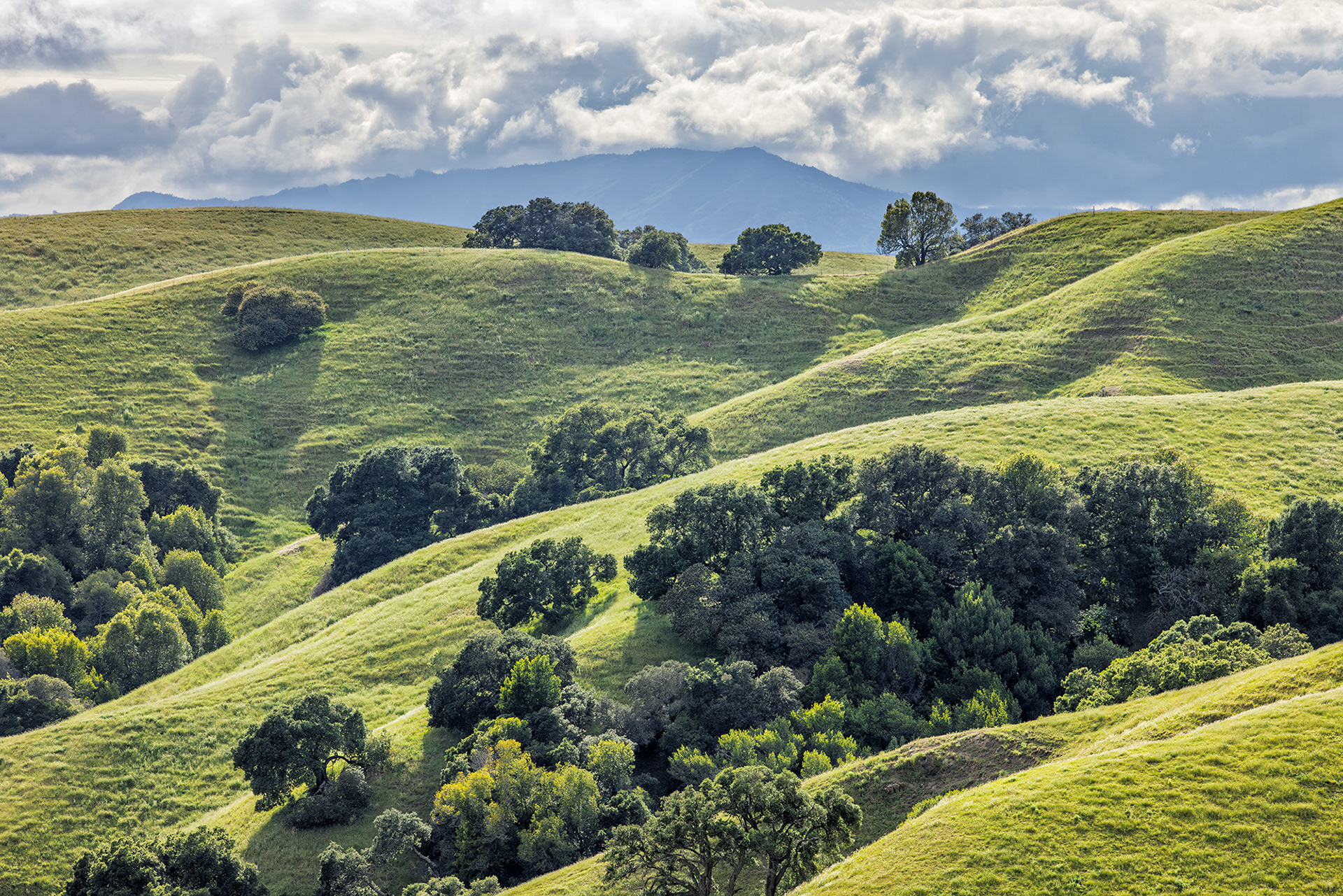 Rolling Hills and Oaks, Briones