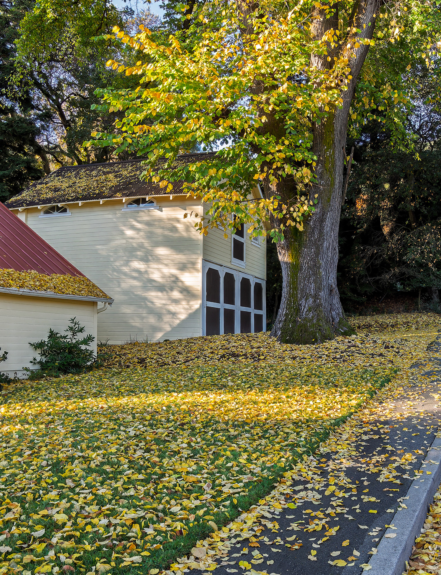 Barnhouse, Lafayette