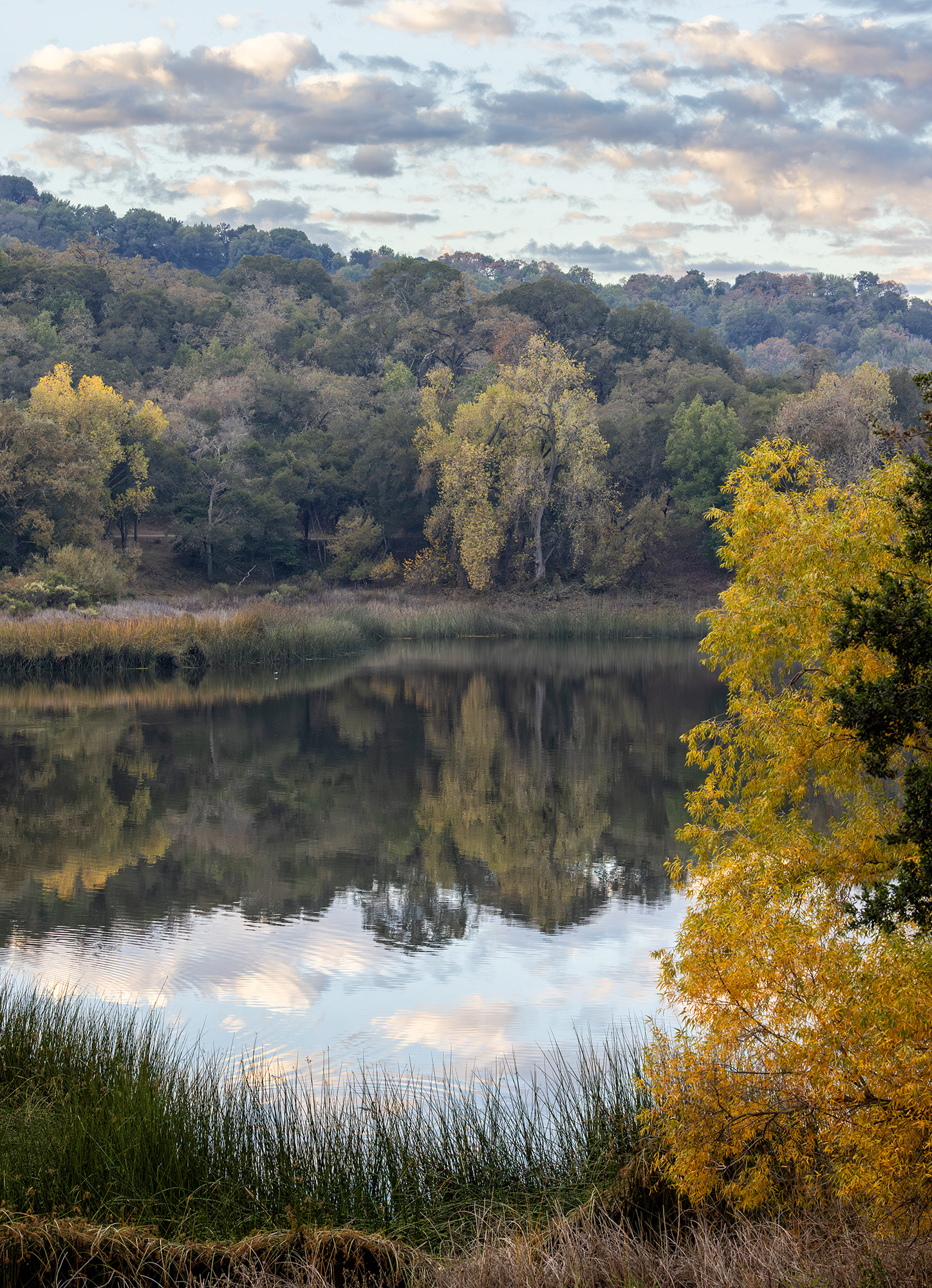 Fall Colors, Reservoir