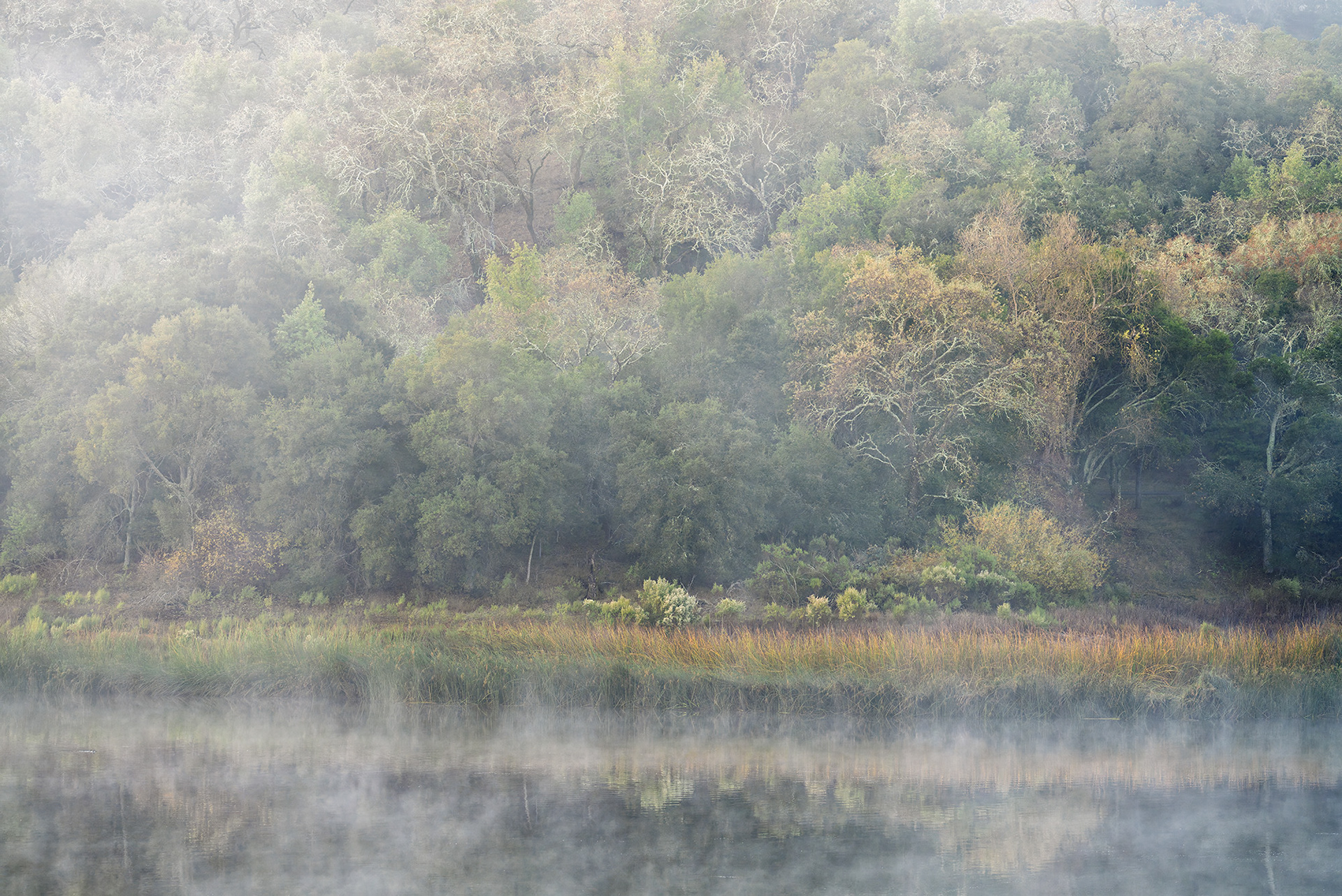 Lafayette Reservoir, Muted Fall Colors