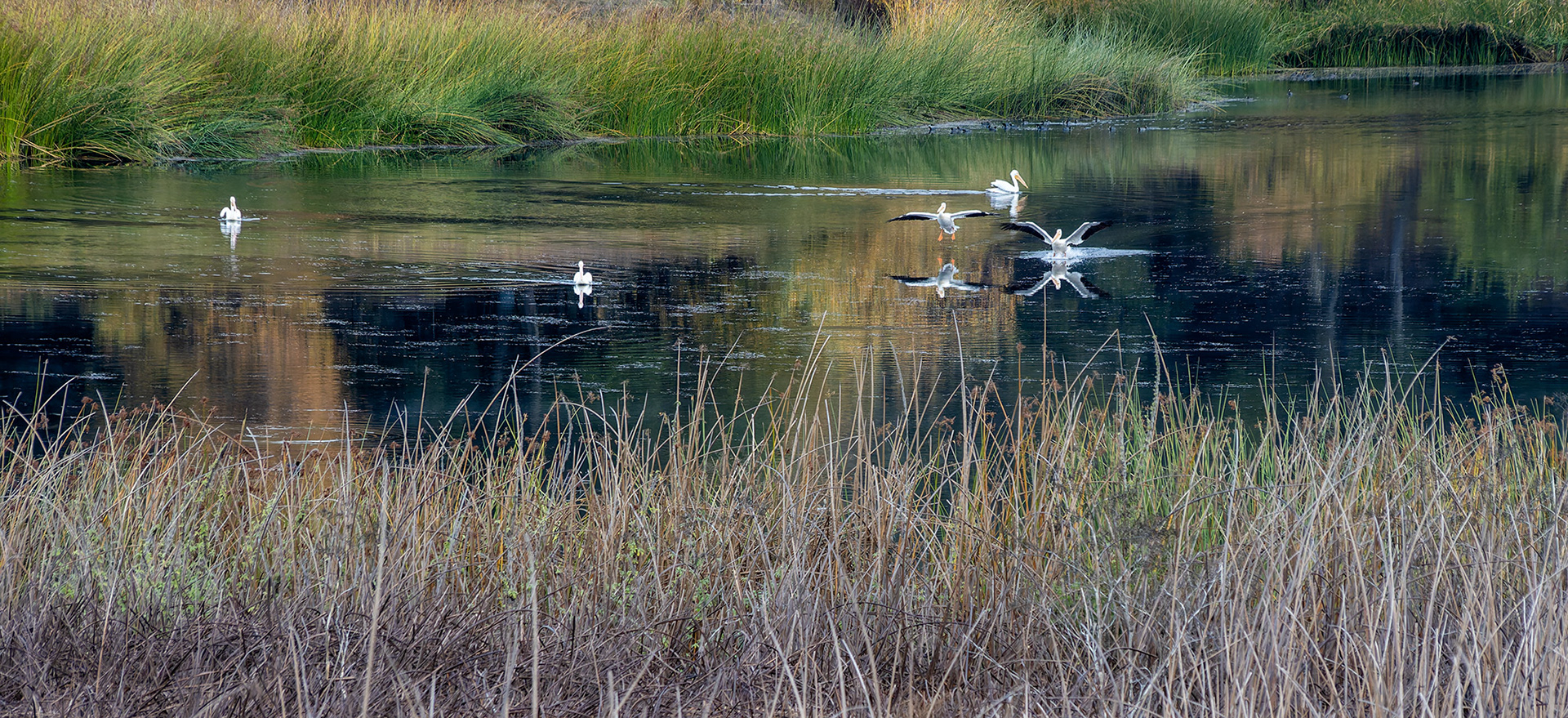 Pelicans Landing, Reservoir