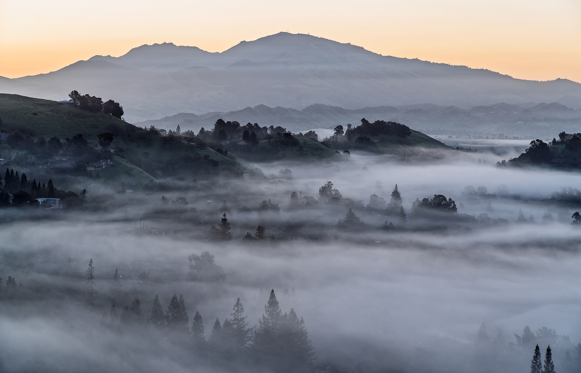 Mt. Diablo, Above the Fog