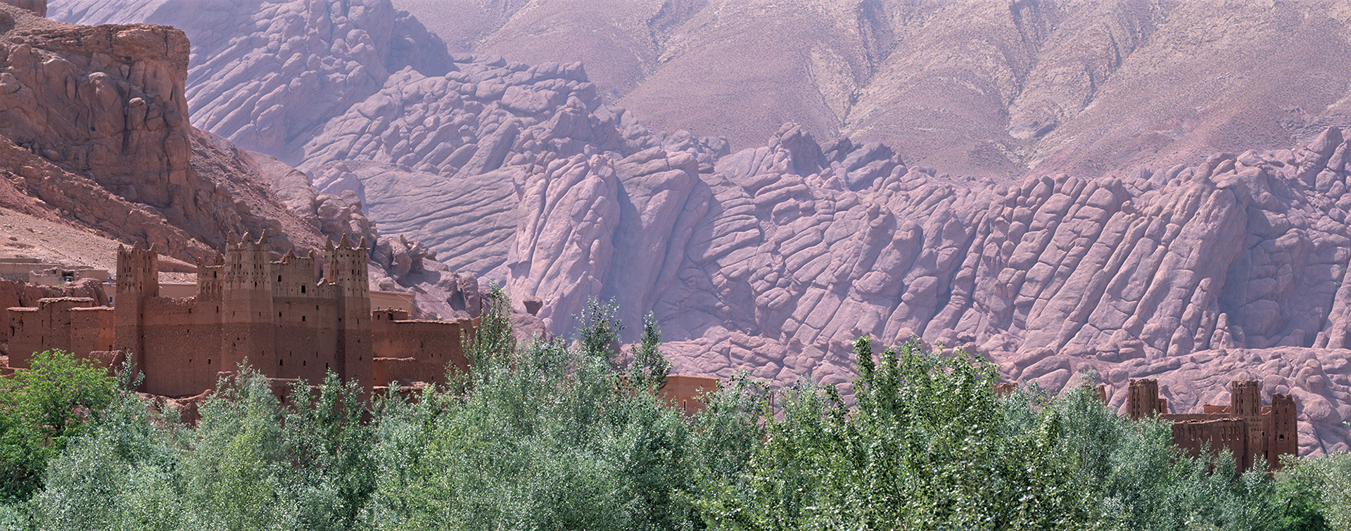 Monkey's Feet, Morocco
