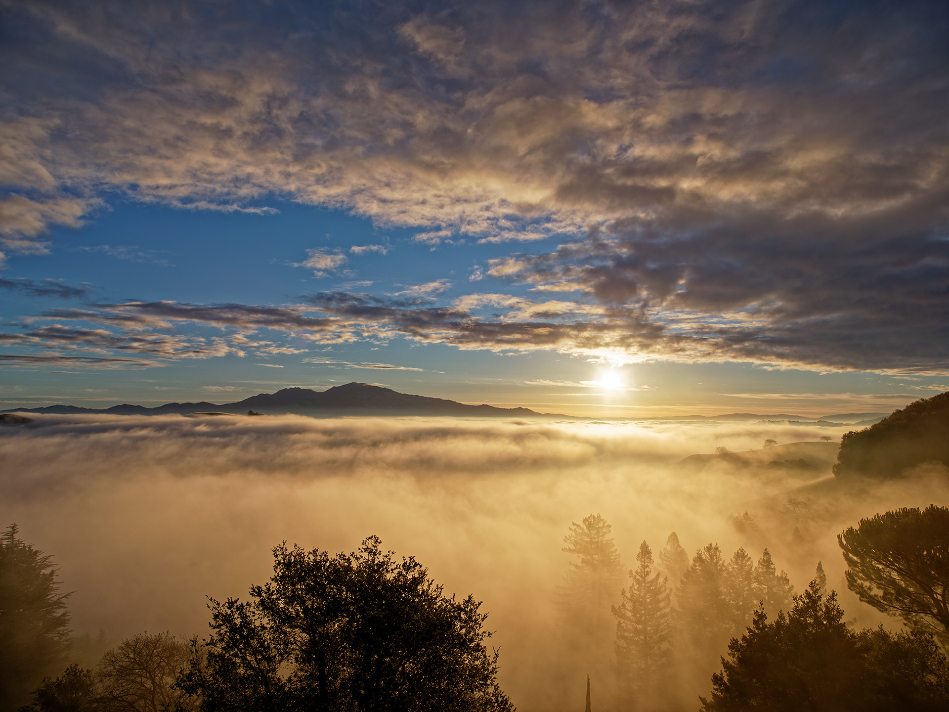 Mt. Diablo, Foggy Sunrise