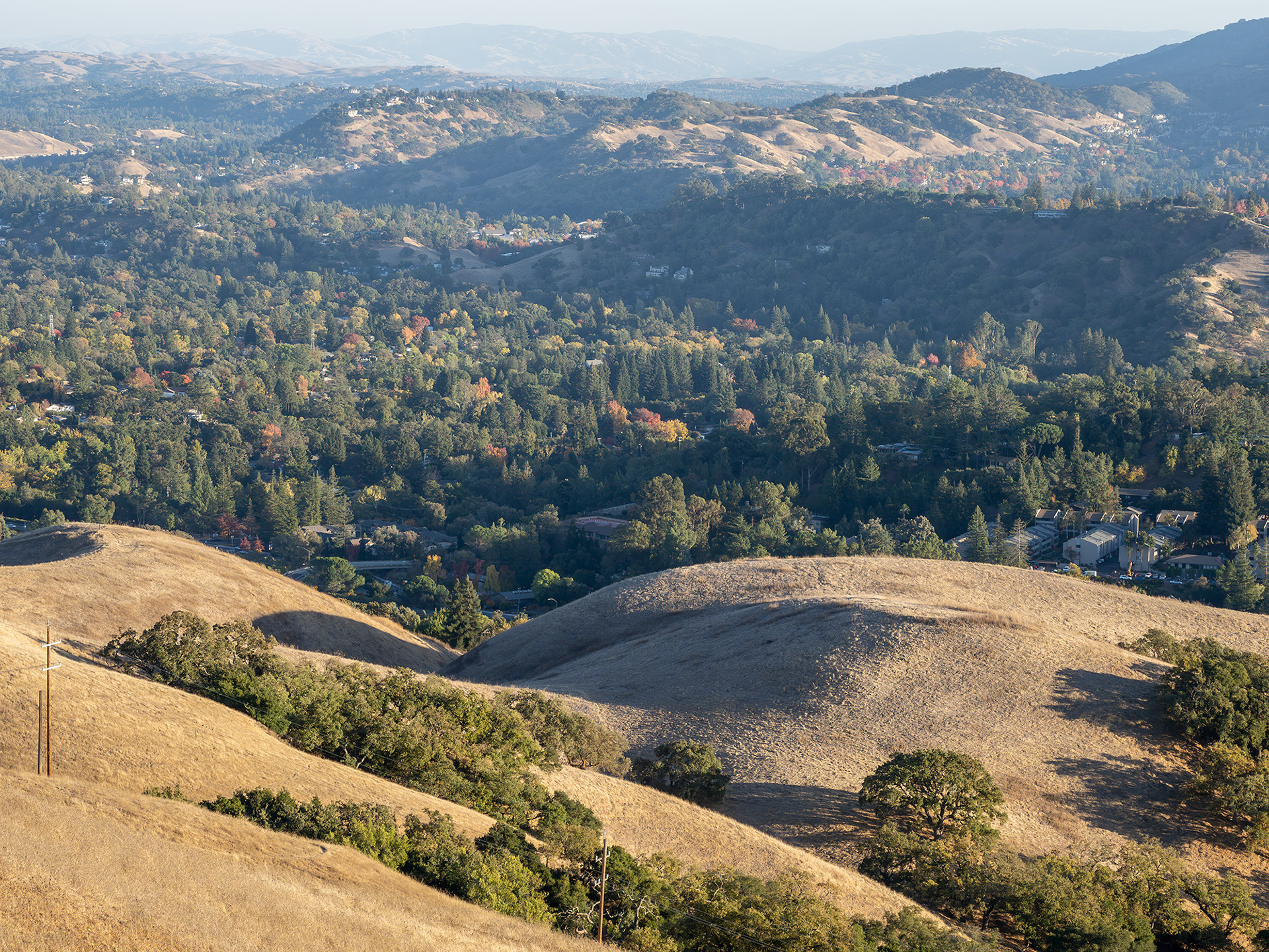 Fall, Acalanes Valley
