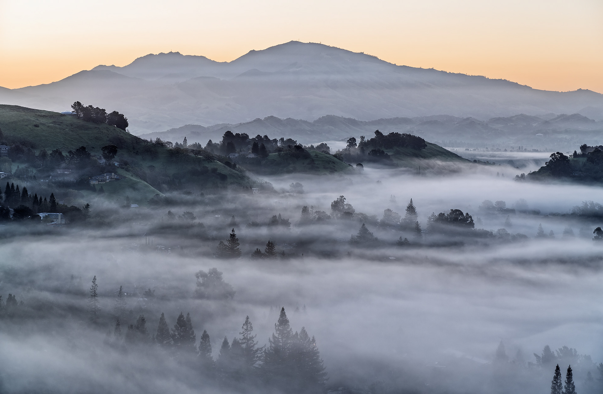 Mt. Diablo, Above the Fog