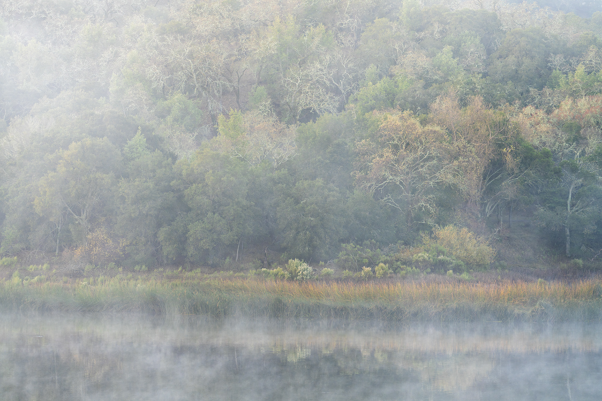 Lafayette Reservoir, Muted Fall Colors