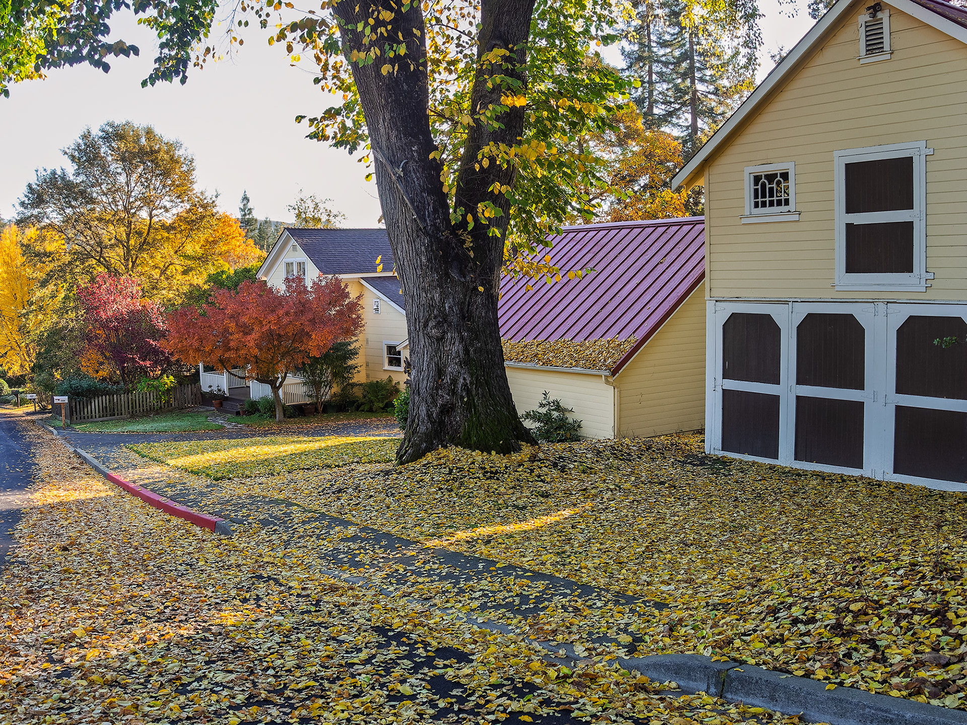 Farmhouse, Fall Color