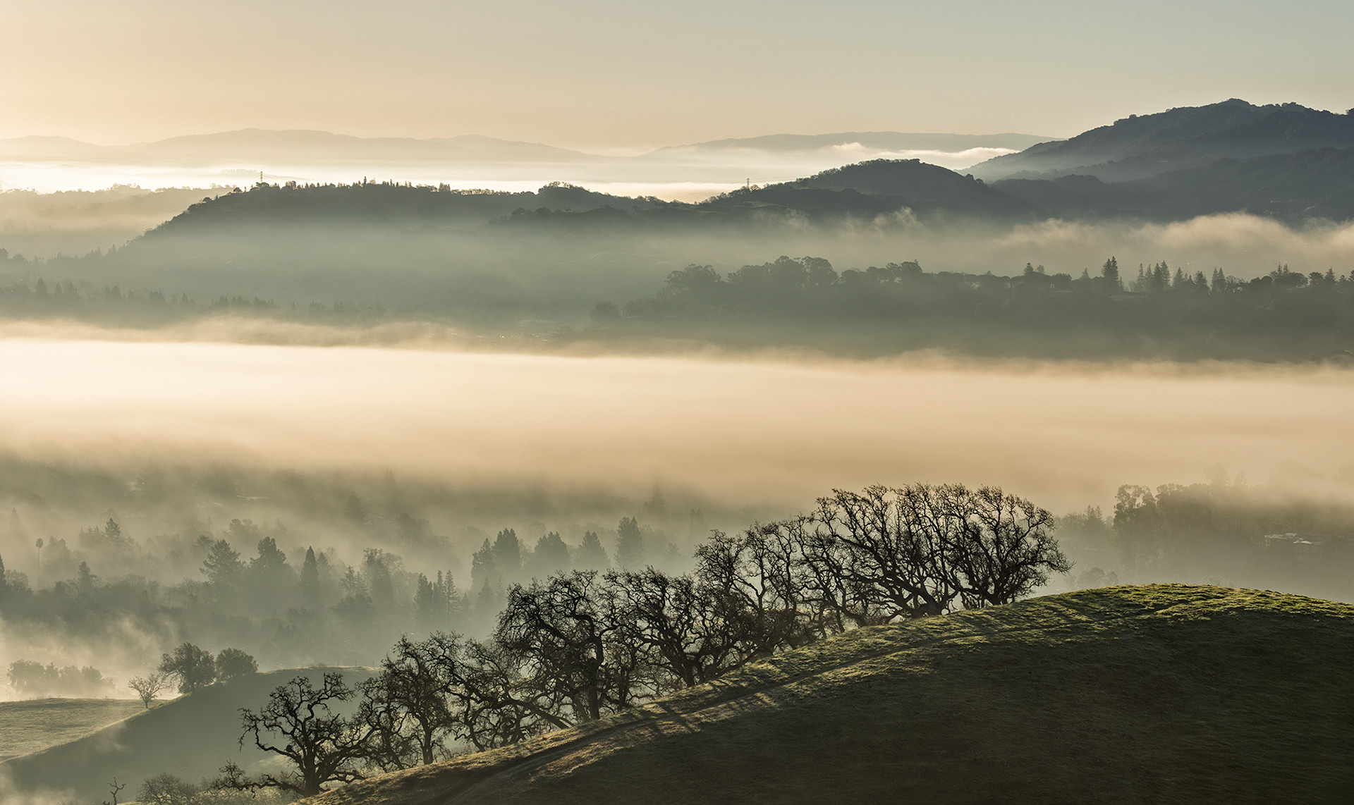 Lafayette Ridge Trail