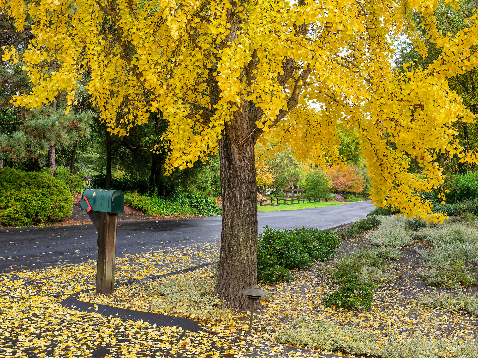 Fall Colors, Lafayette
