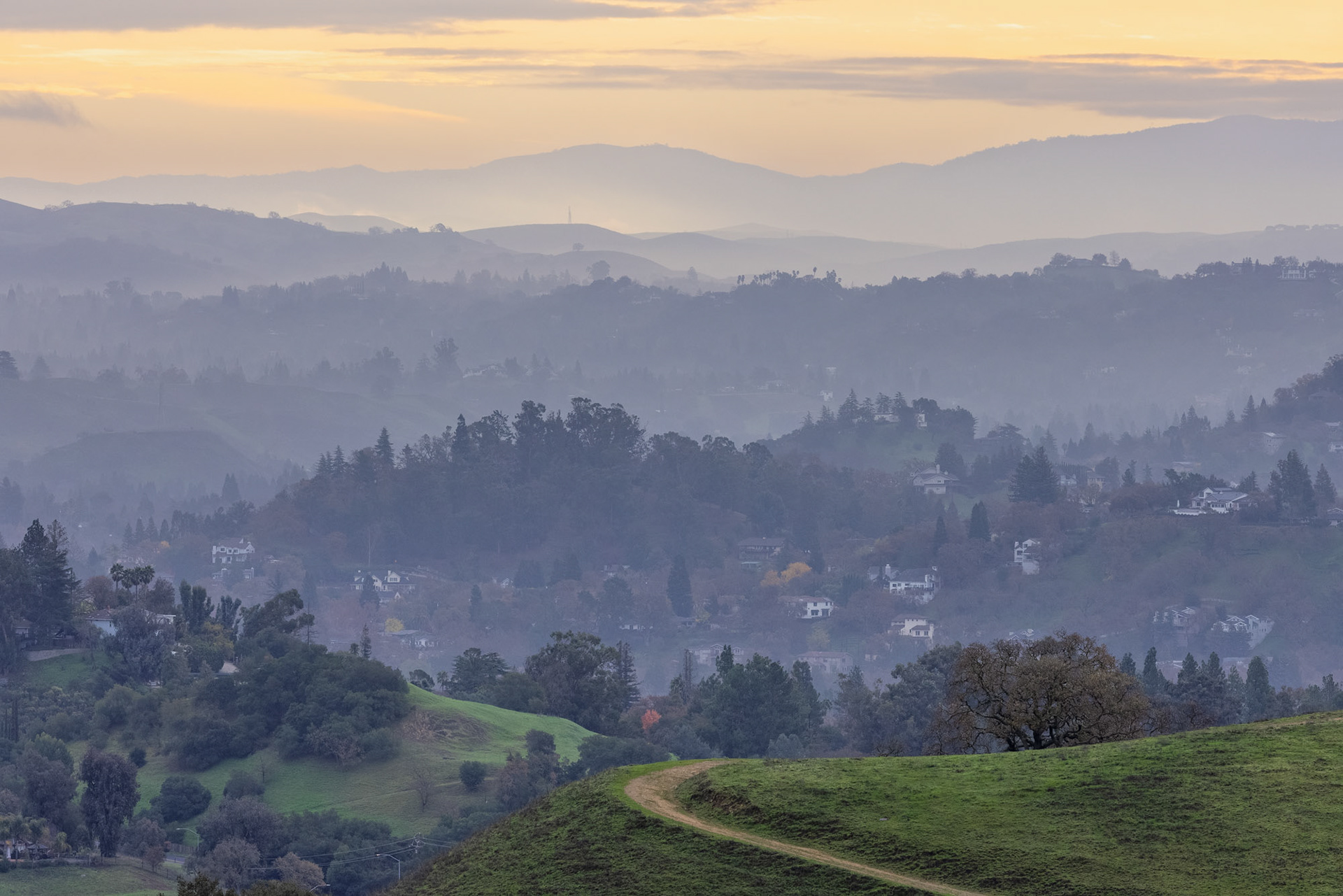 Acalanes Valley Layers at Dawn