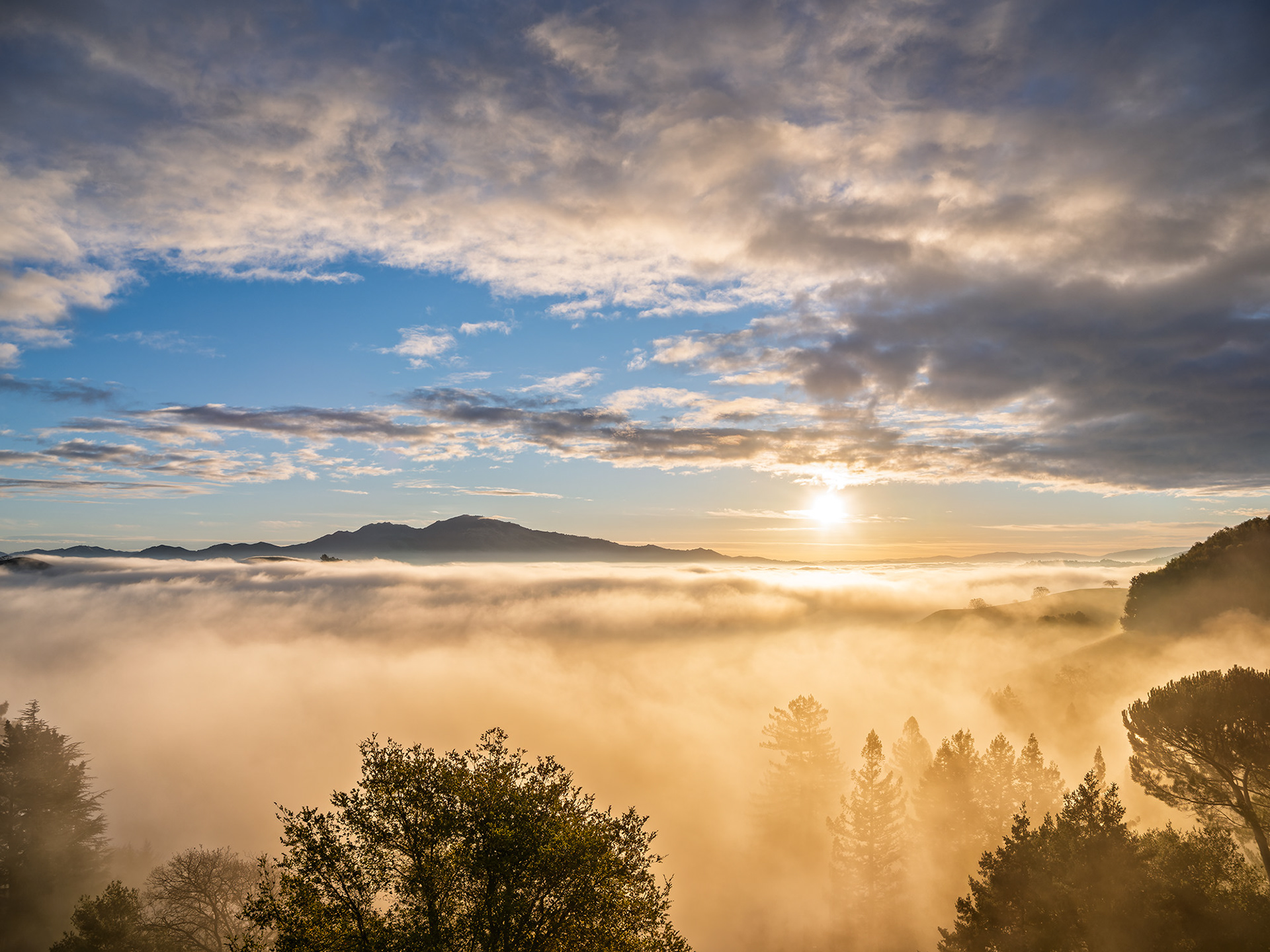 Mt. Diablo, Foggy Sunrise