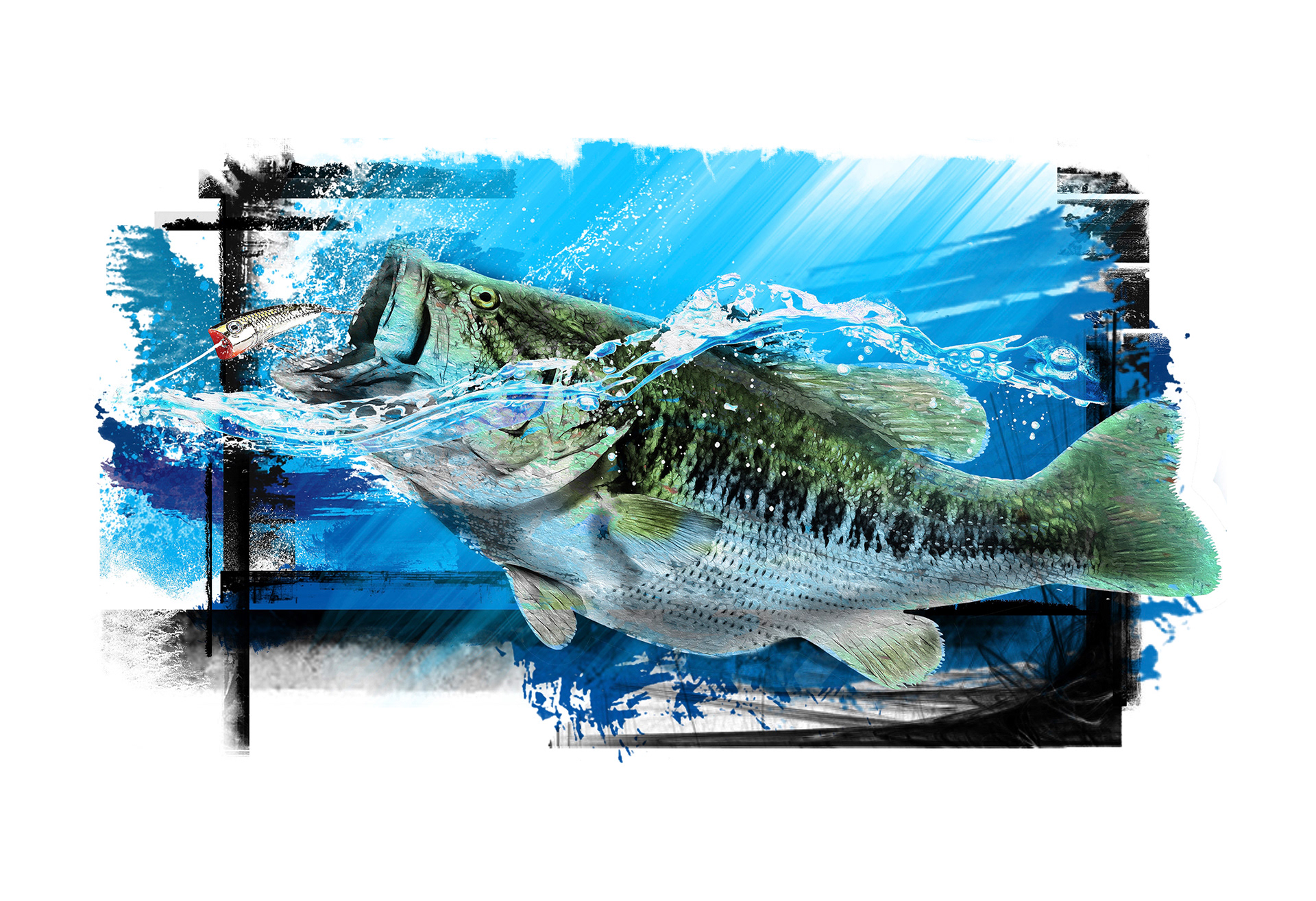 Painting of a Largemouth Bass hitting a Hula Popper in Okeechobee, Florida painted by local mixed media artist Pete Olszak of Venice, Florida