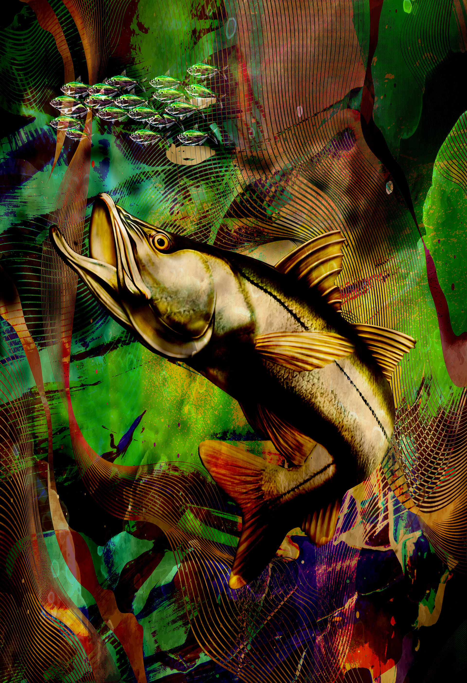 Snook chasing greenbacks in Sarasota, Florida painted by local mixed media artist Pete Olszak of Venice, Florida