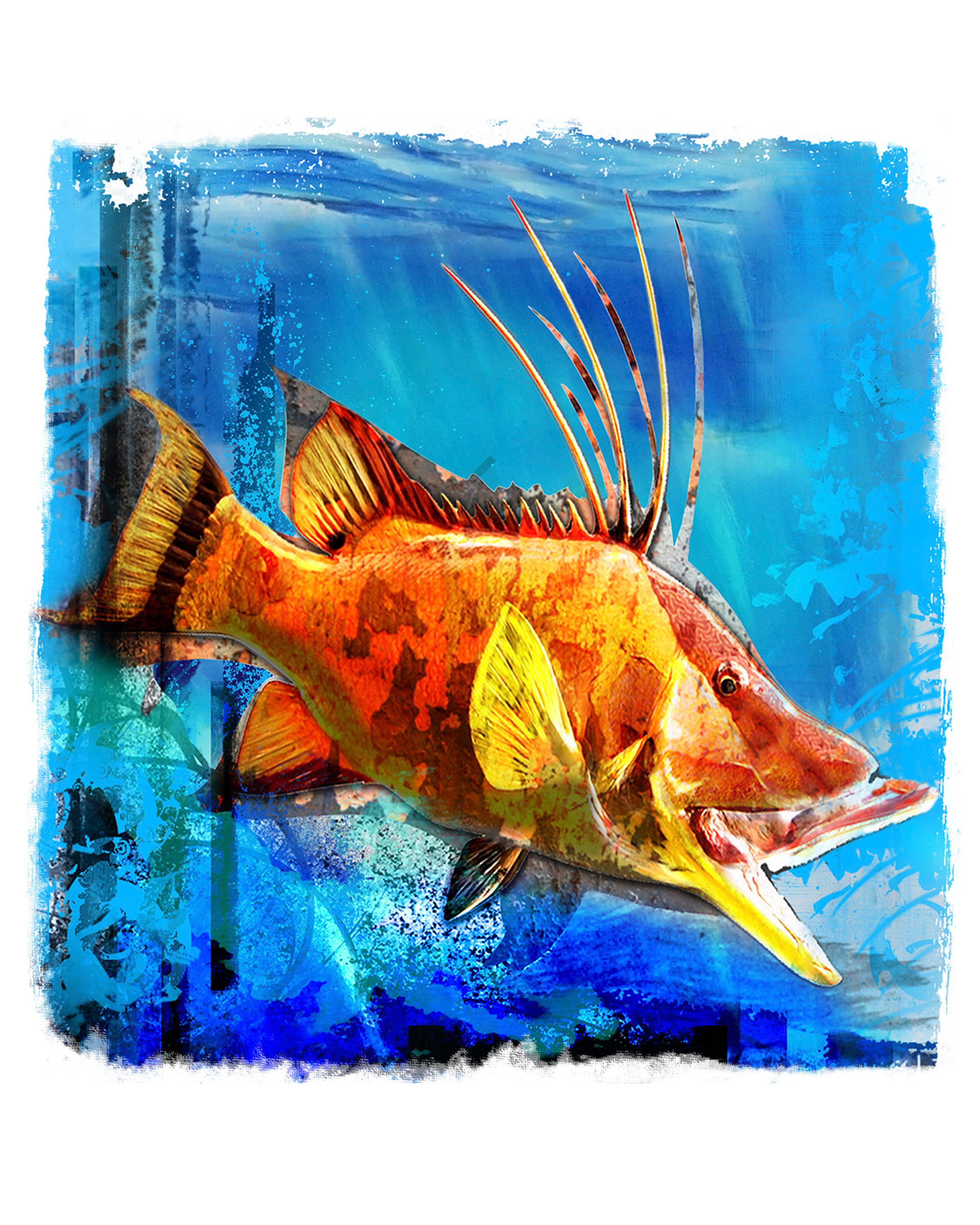 Painting of a Hogfish in the Gulf of Mexico off the coast of Sarasota, Florida painted by local mixed media artist Pete Olszak of Venice, Florida