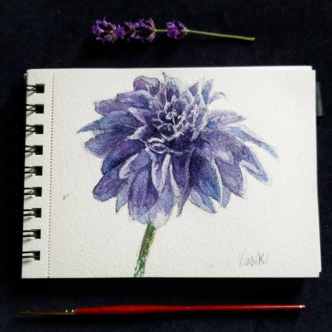 Dahlia