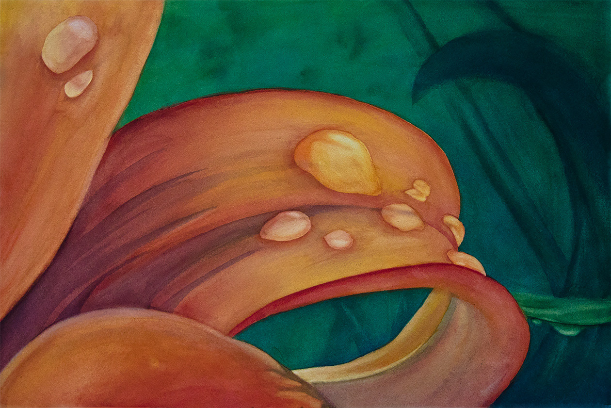 Calla Lily