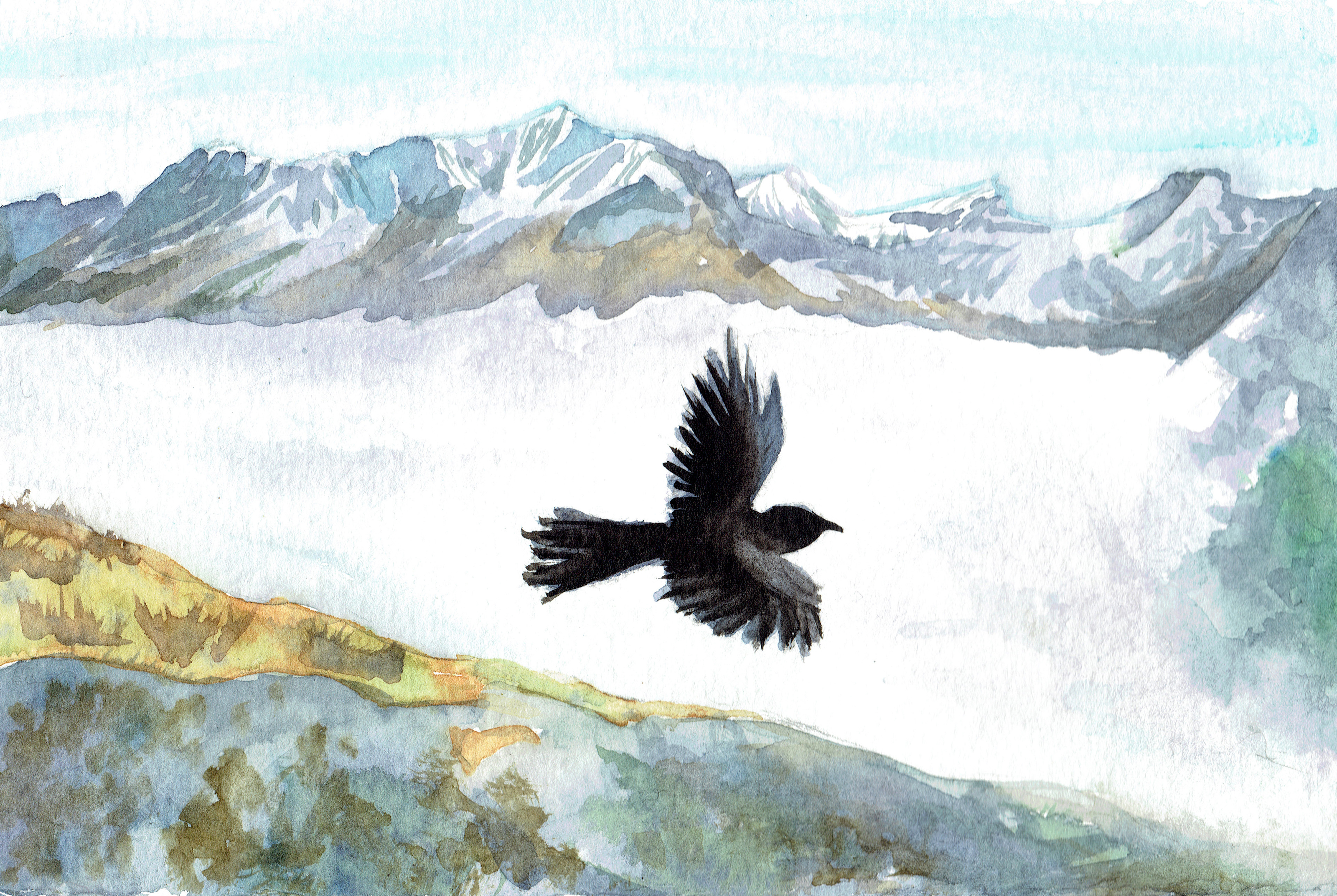 Crow in the Mountains