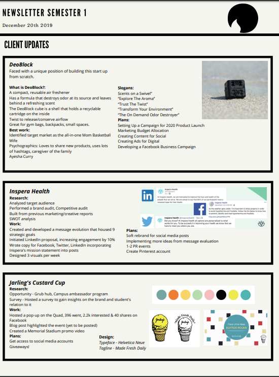 Example of Professional Newsletter with Client Updates from our Teams (1/2)