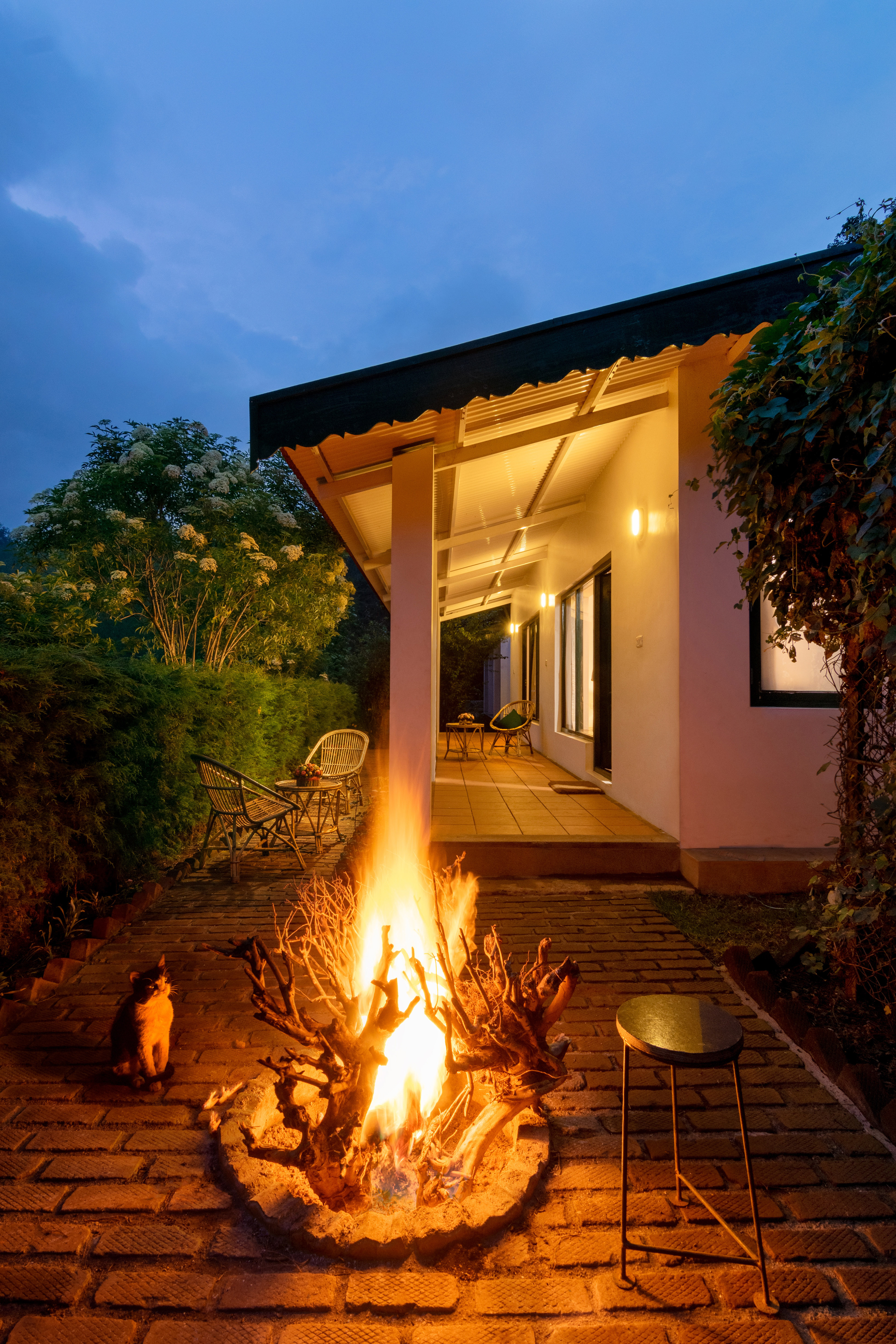 The Tamarillo, Ooty