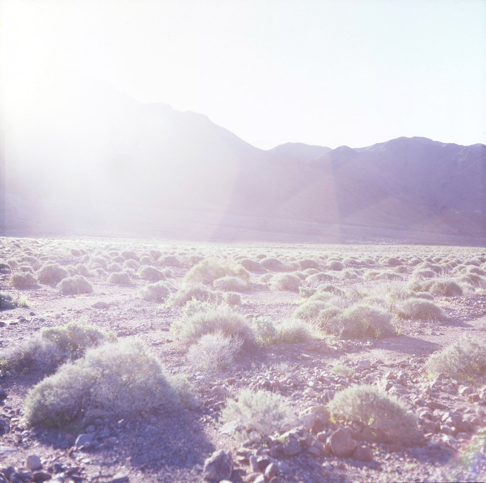 death valley 1999