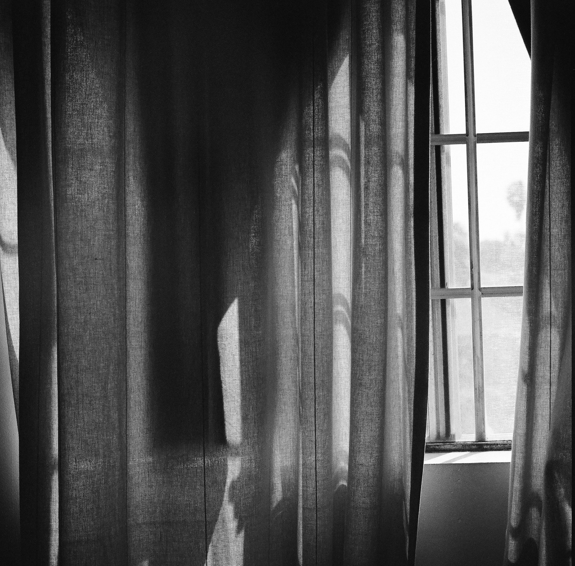 vernon ave window 2013