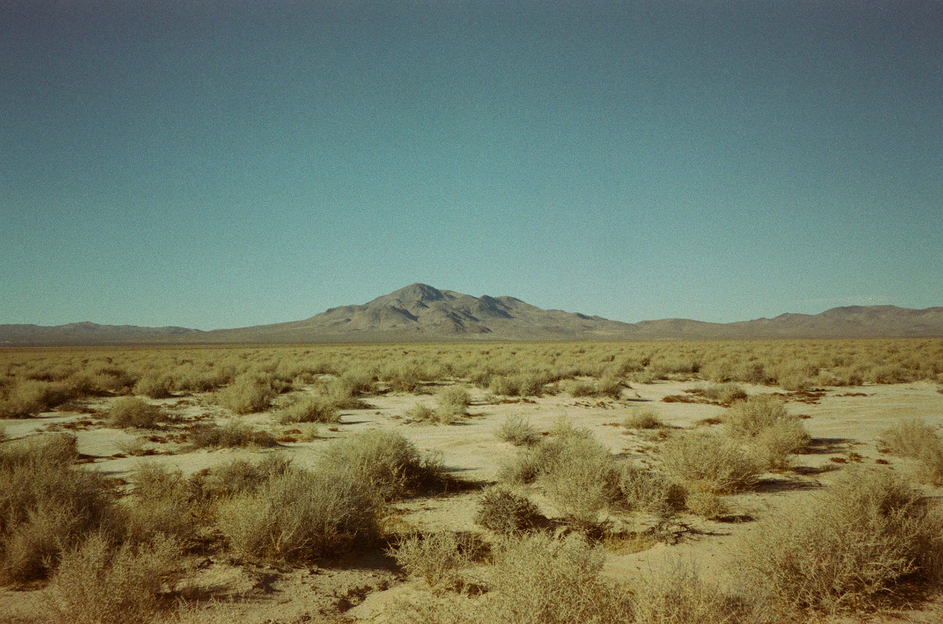 cuddeback dry lake bed 2024