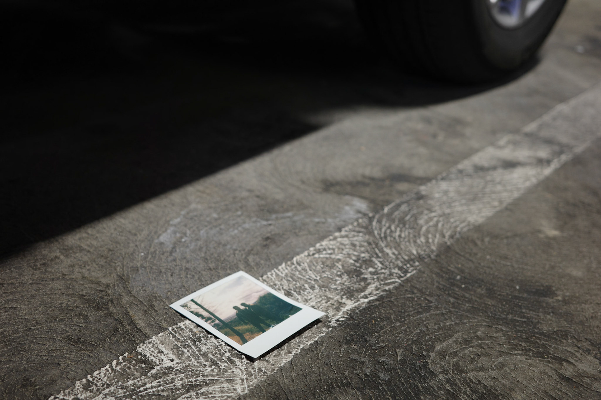 lost or found polaroid LA 2023