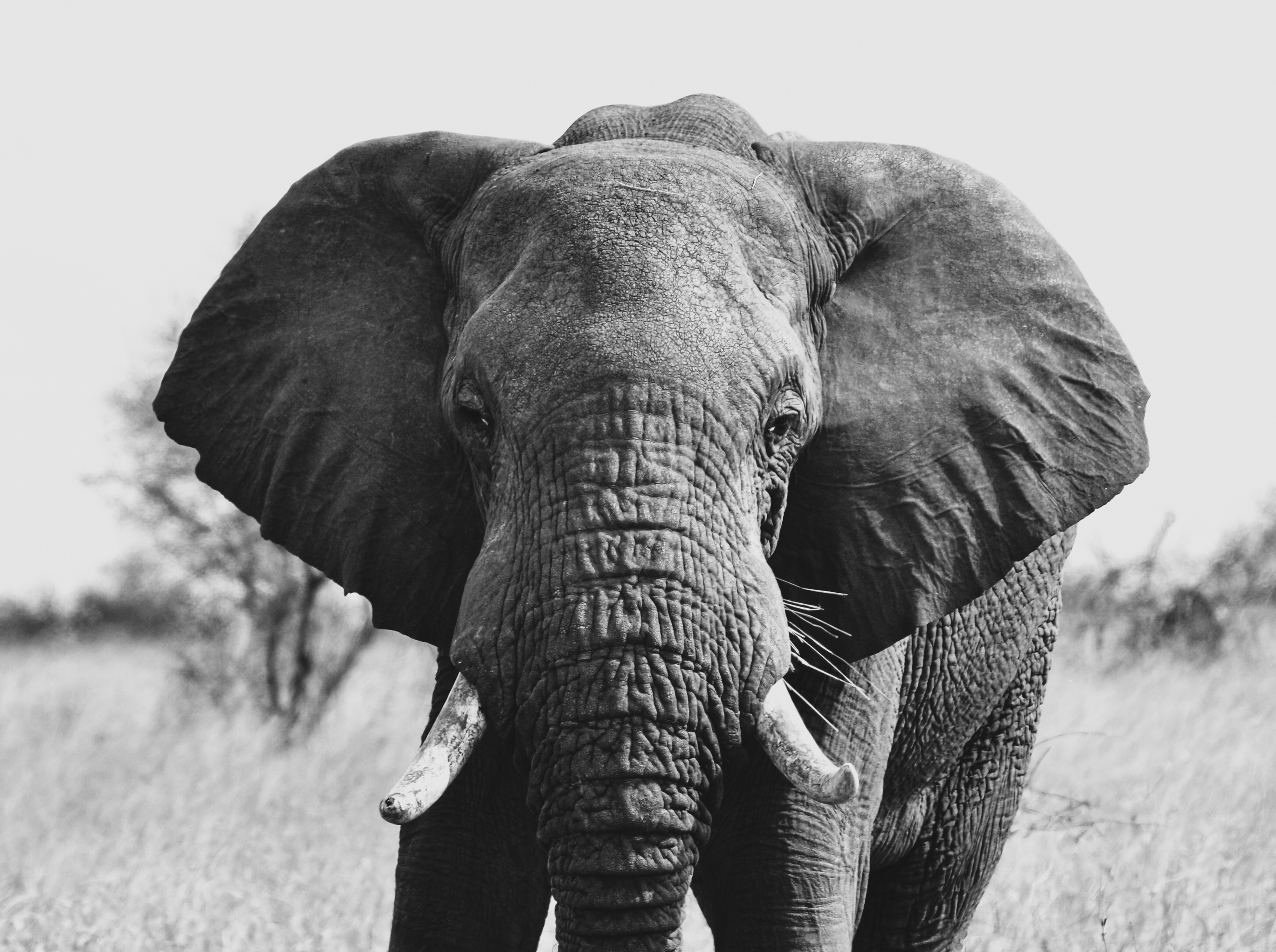 South Africa