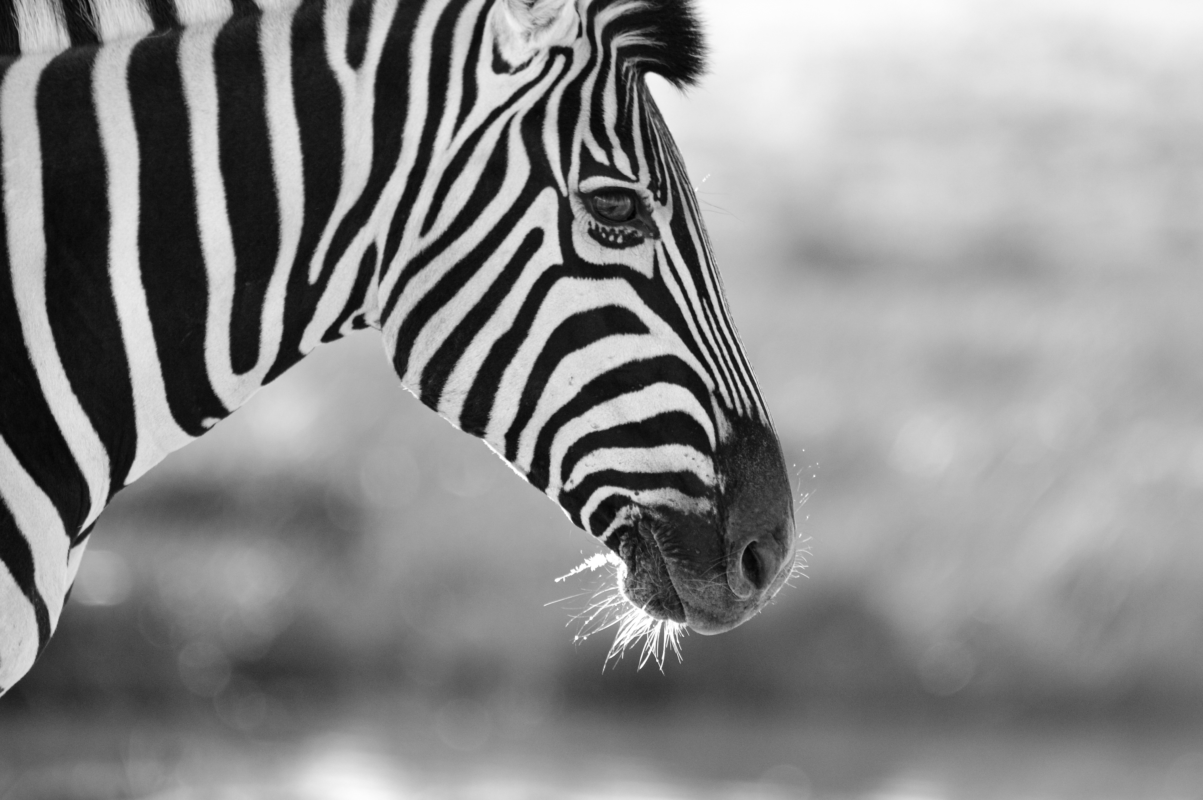 Namibia