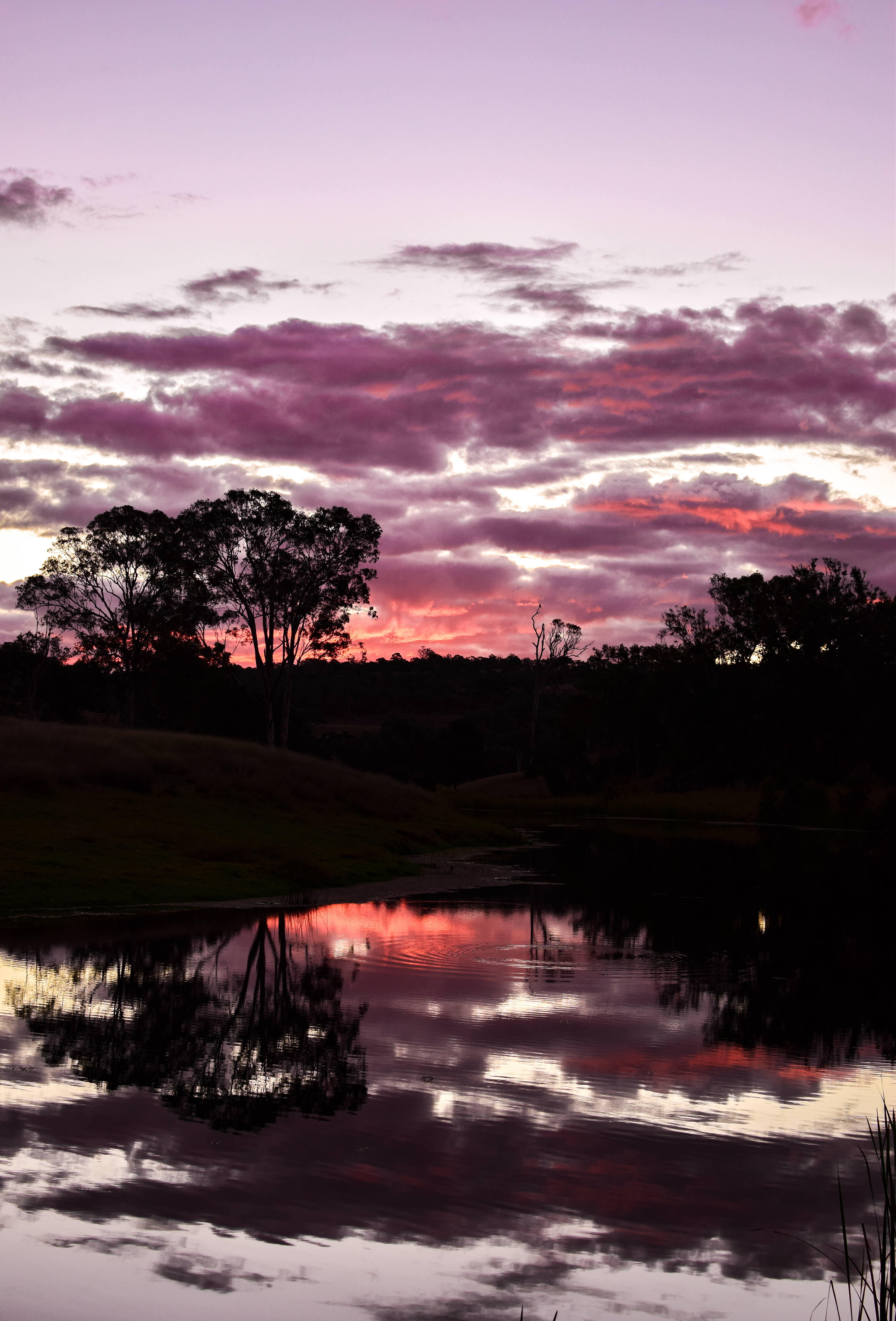 Australia