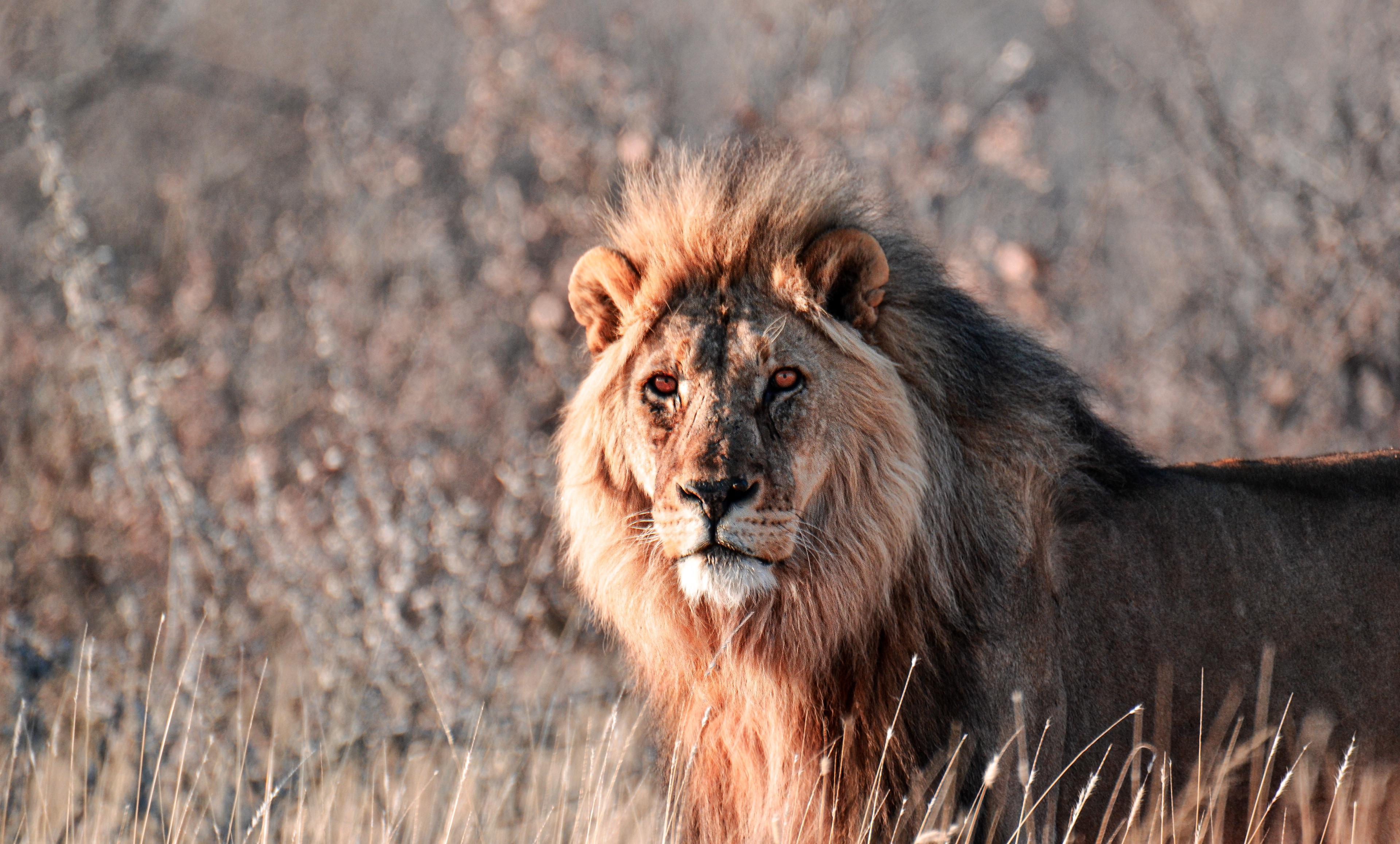 Namibia