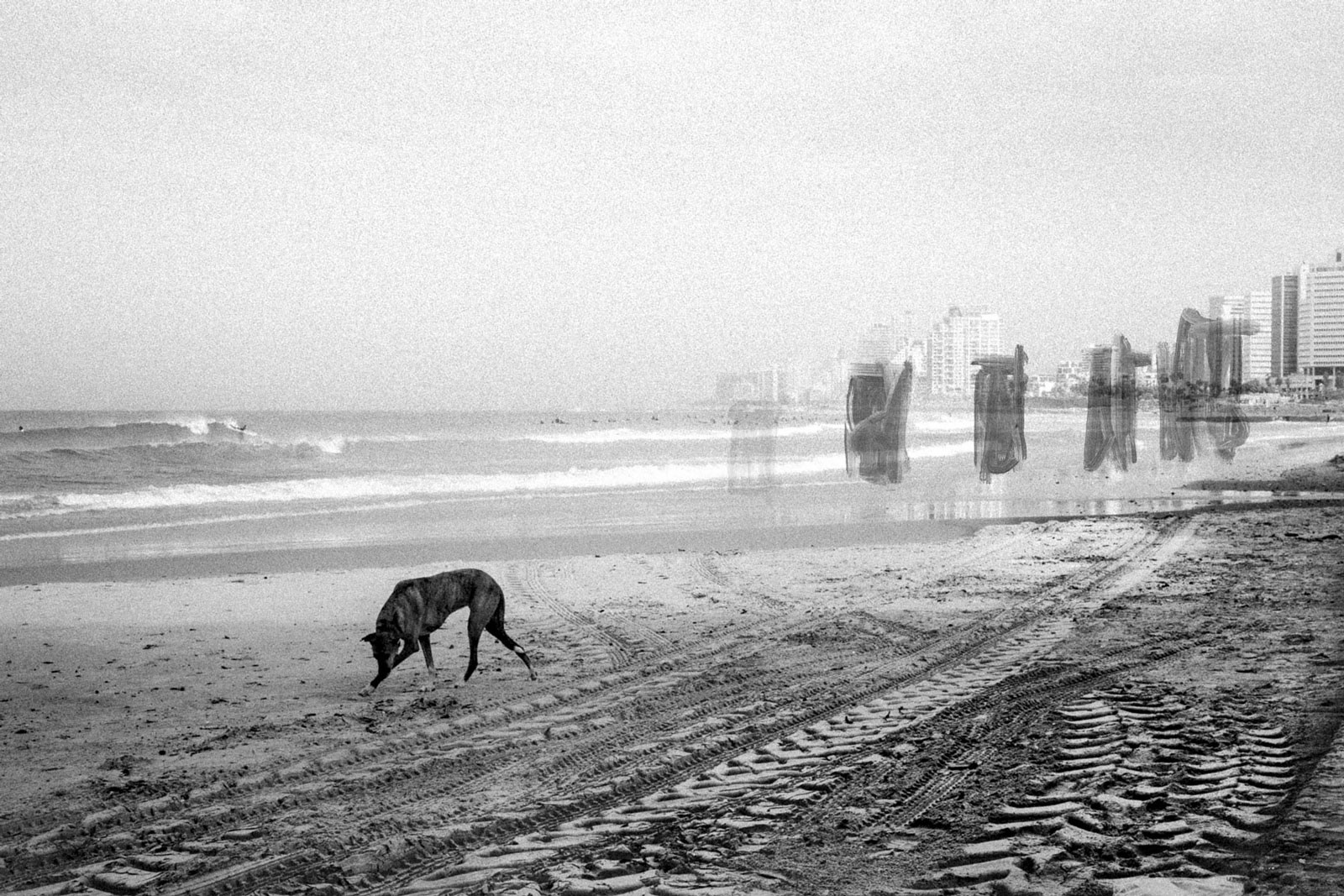 Cerberus // End of the World