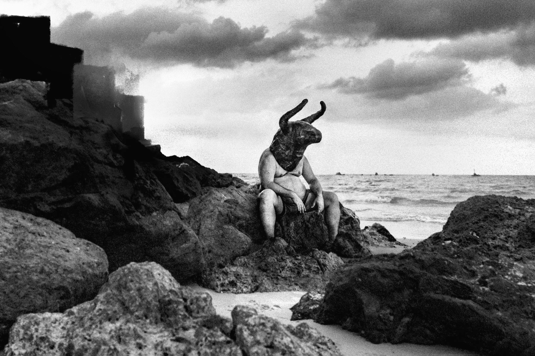 The Minotaur // What's Next?