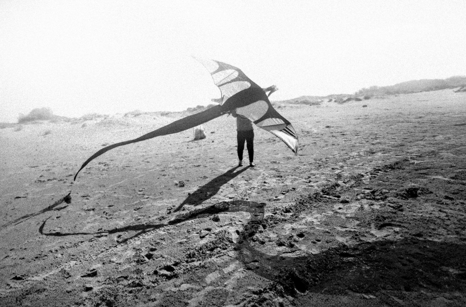 Daedalus // The Dream