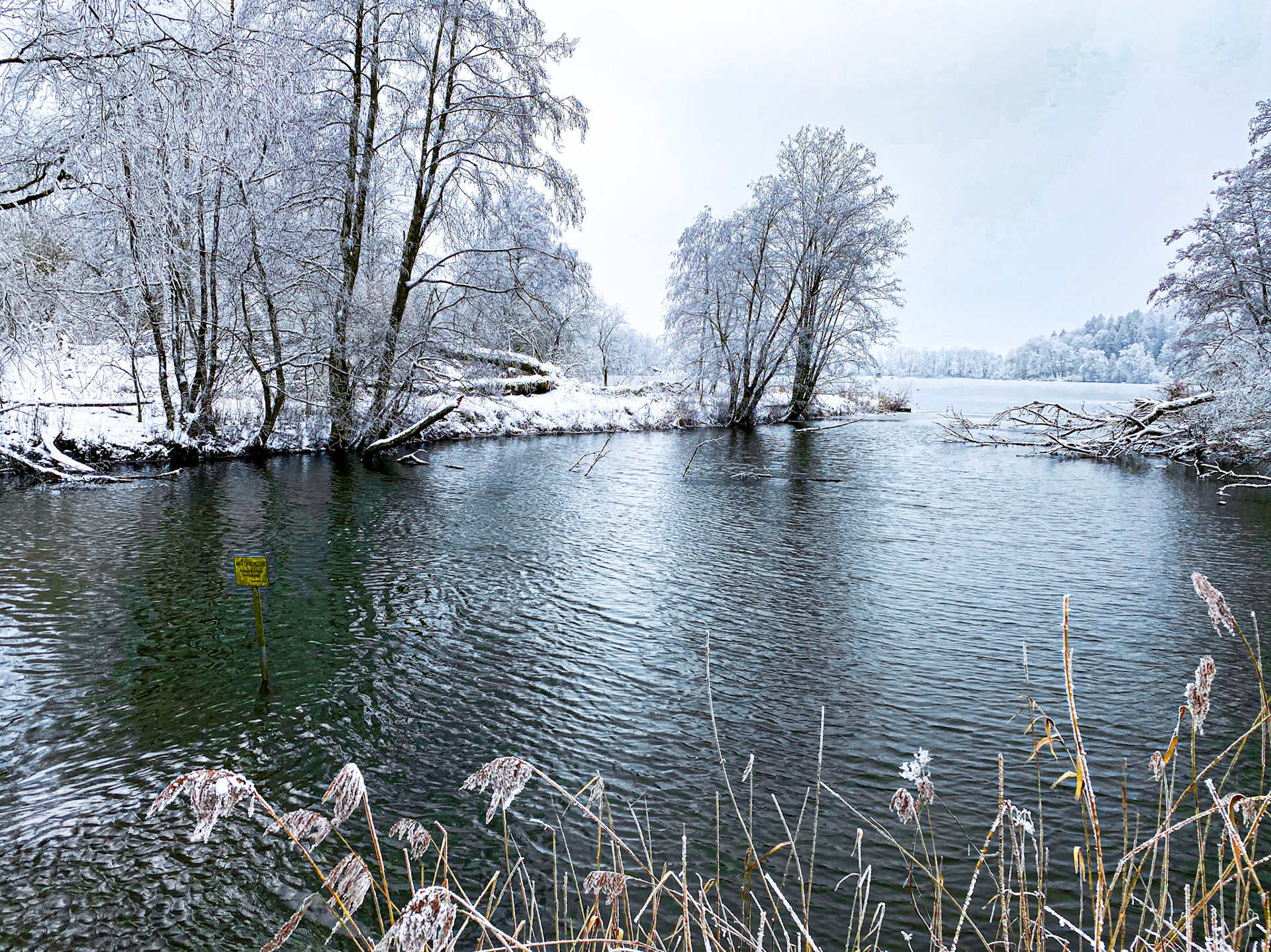 Stadtweiher Leutkirch