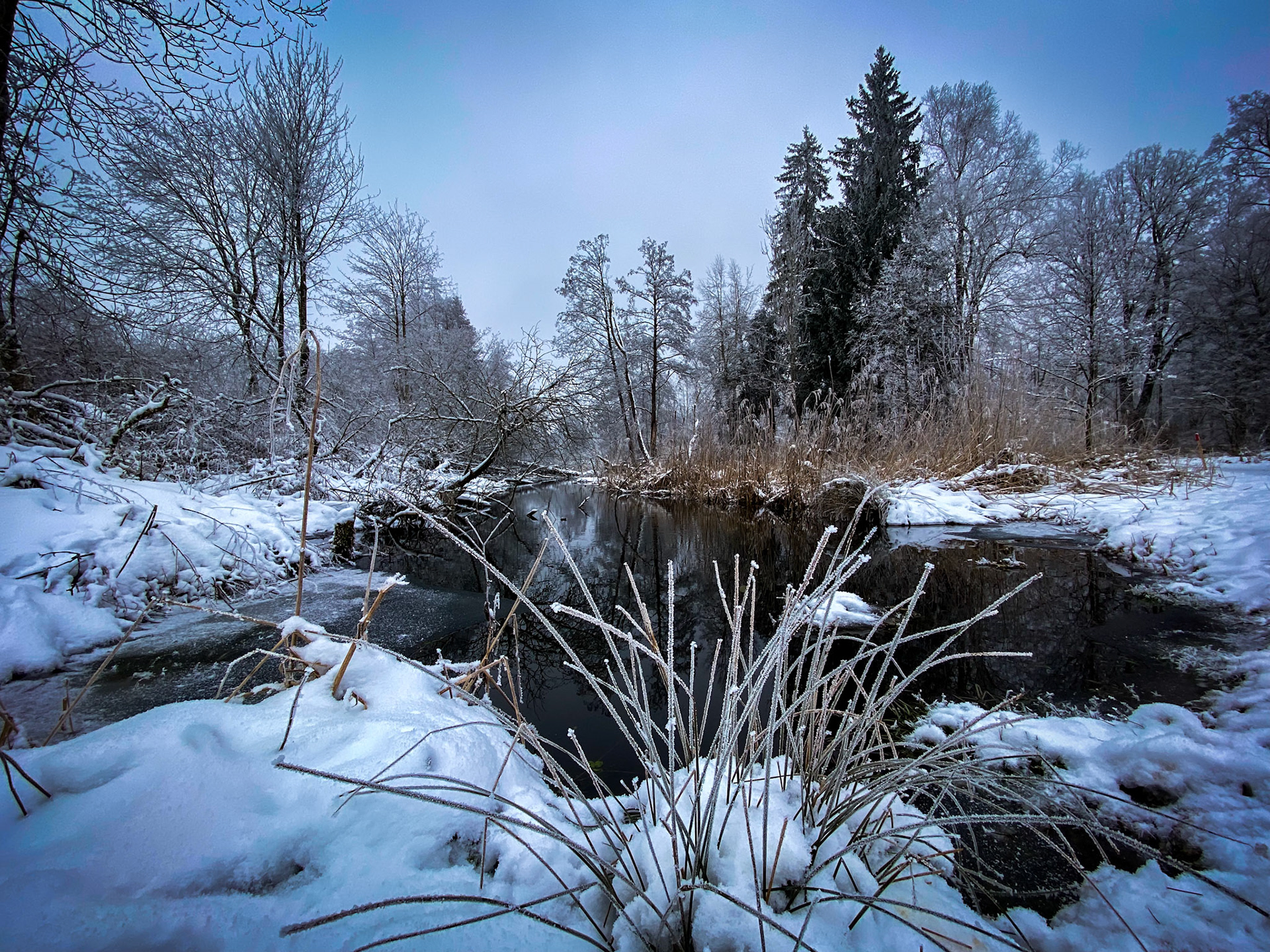 Stadtweiher Leutkirch