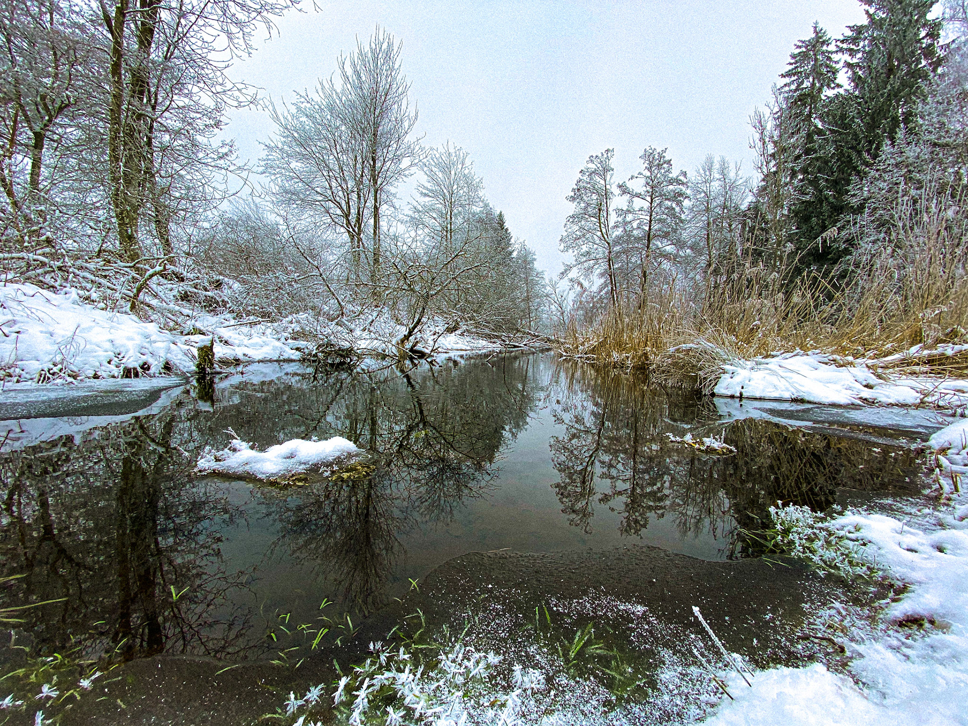 Stadtweiher Leutkirch