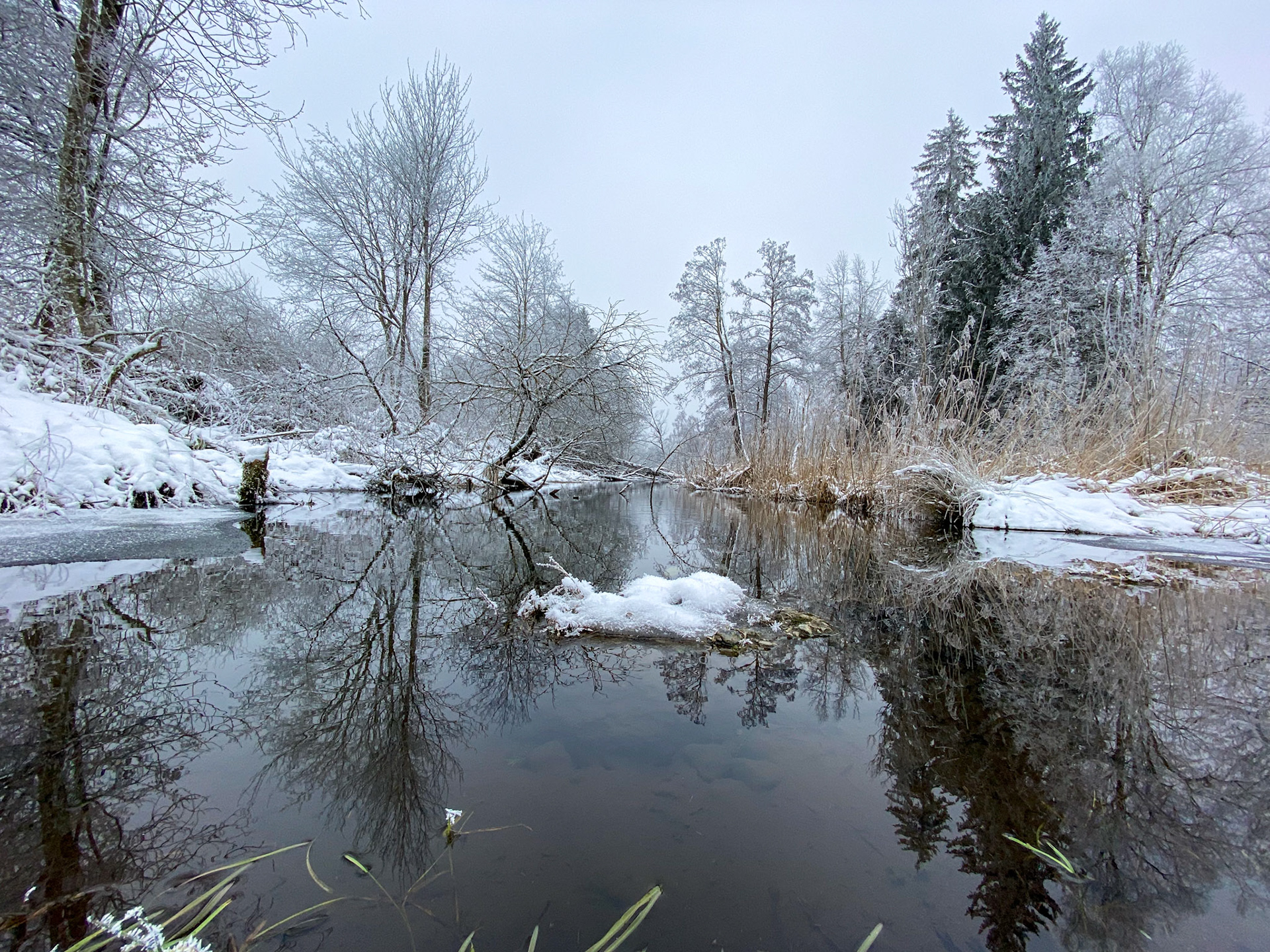 Stadtweiher Leutkirch