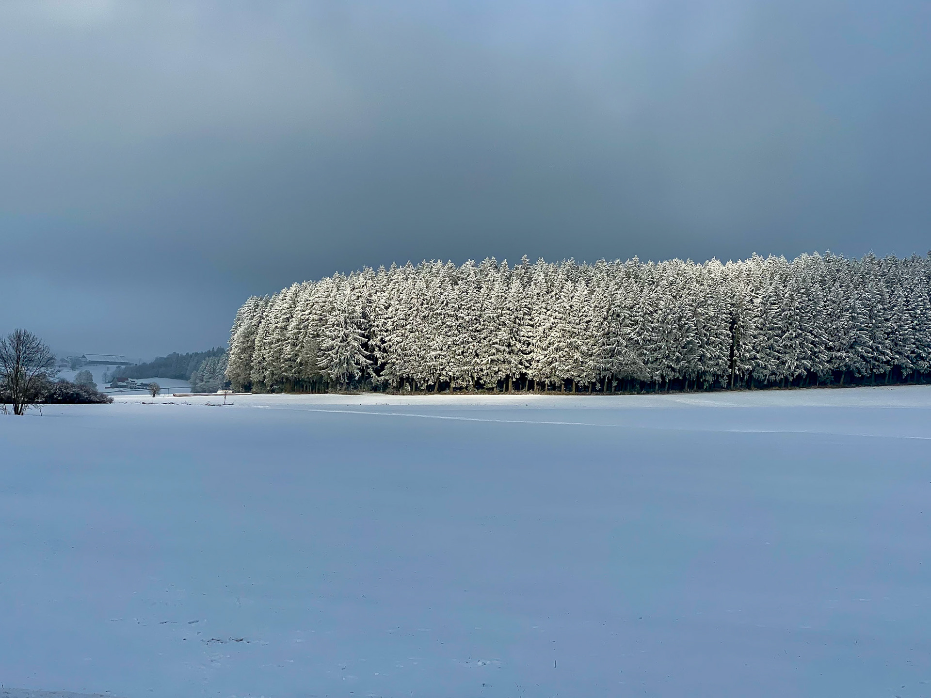 Stadtweiher Leutkirch