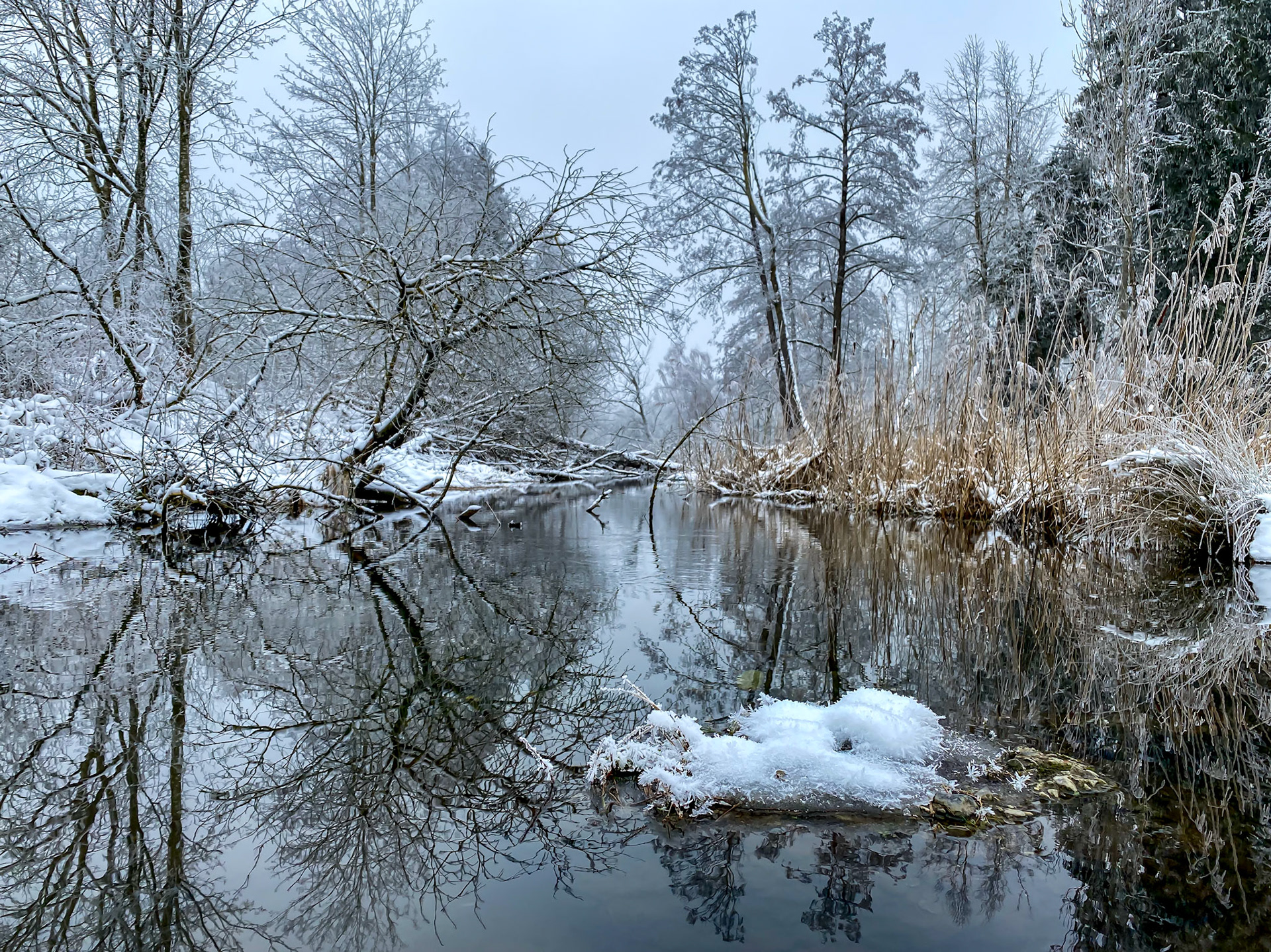 Stadtweiher Leutkirch