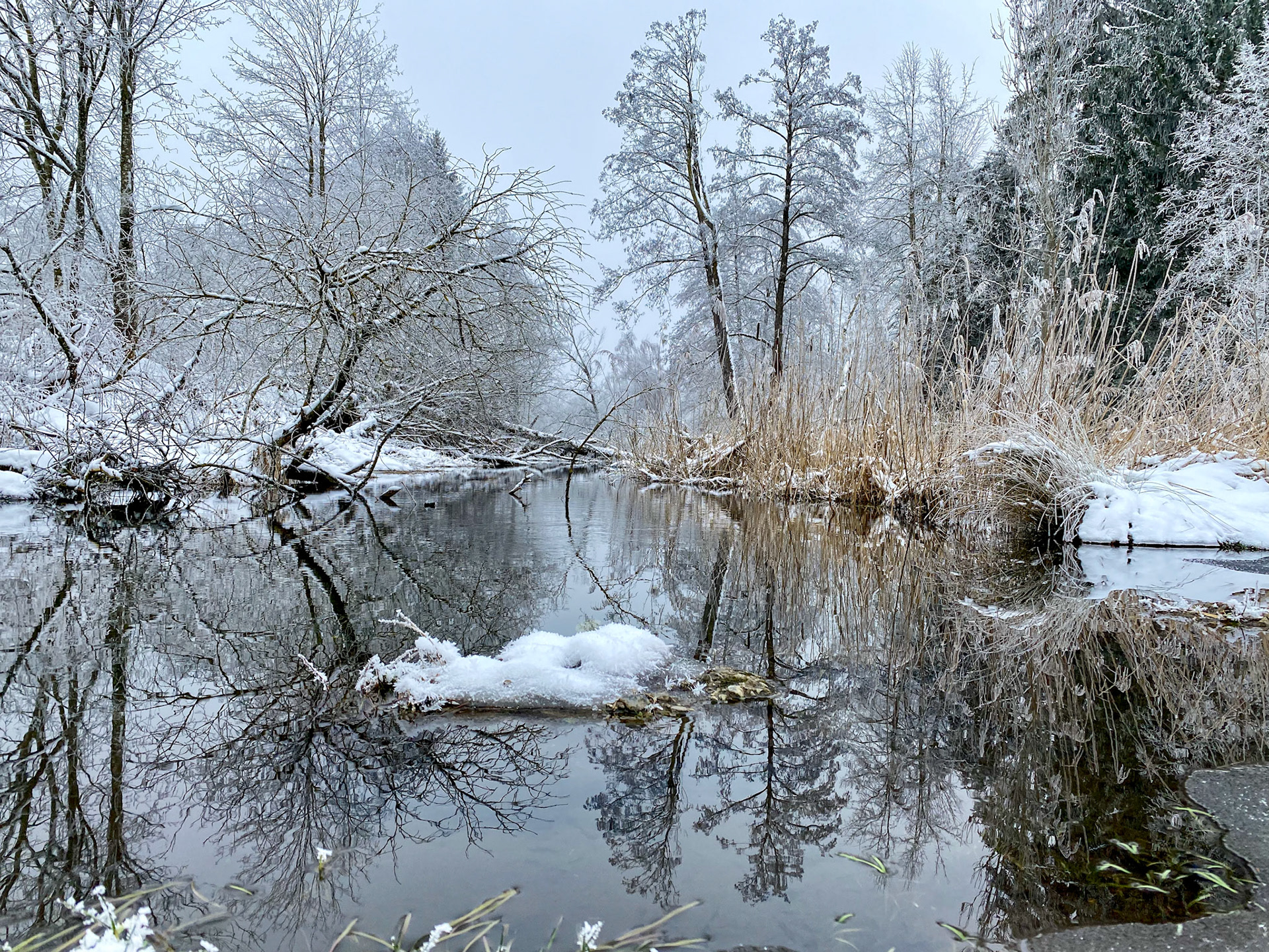 Stadtweiher Leutkirch