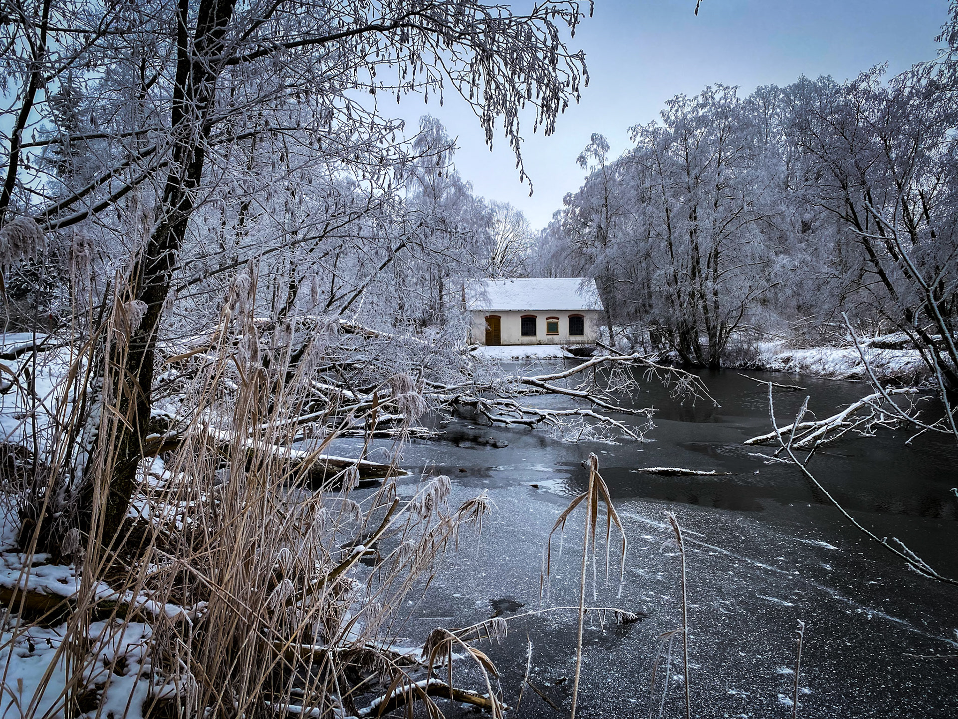 Stadtweiher Leutkirch