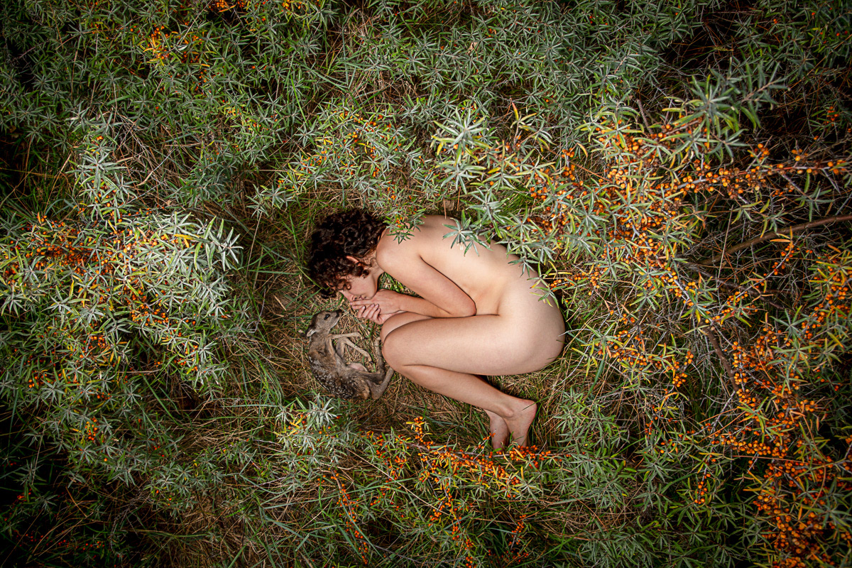 ©2025 - Innocent Hiding - Nr 1/10 - 20x30 (Dibond+frame black) - 290€