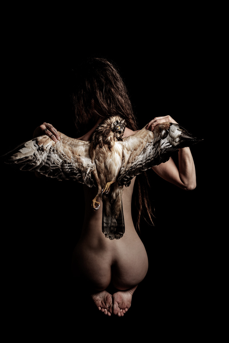 ©2022 - Trypich Nature's Muse - Nr 5/5 - 60x90 (Dibond+frame black) - 950€